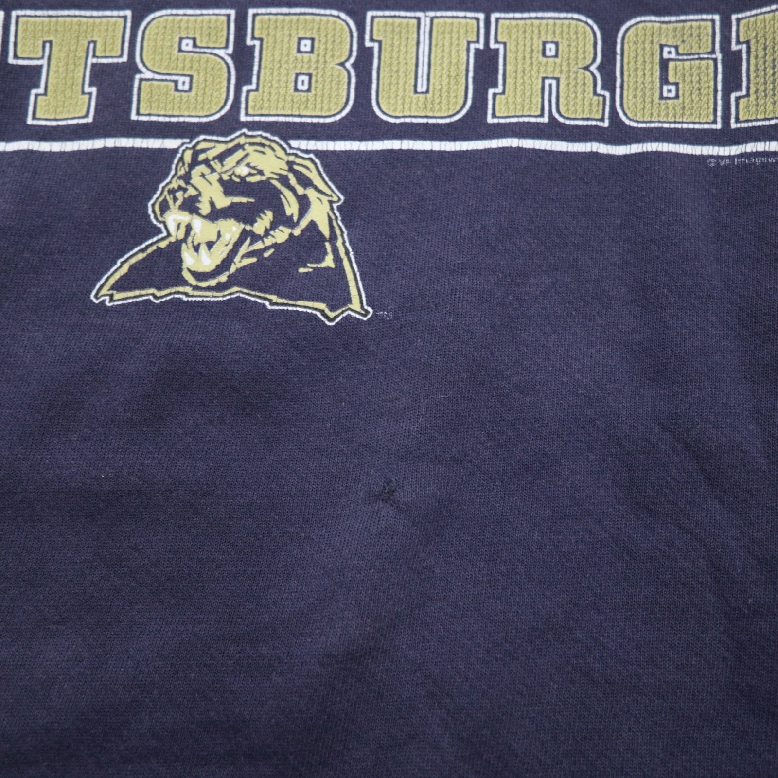 Lee SPORT anni '90 felpa college L blu navy stampa football PANTHERS PITTSBURGH