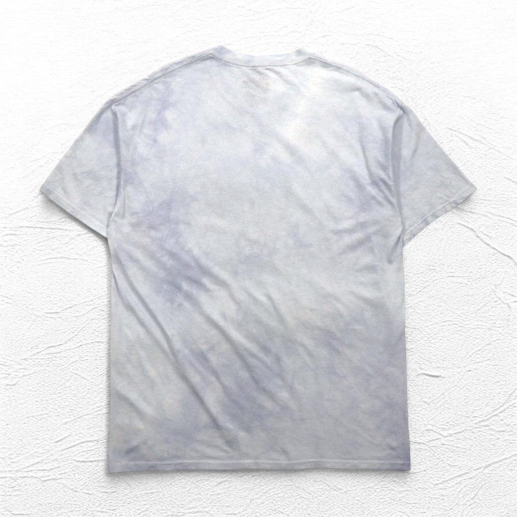 THE MOUNTAIN ビッグサイズ タイダイ Tシャツ 2XL ブルー プリント アニマル 鷲 イーグル メキシコ製