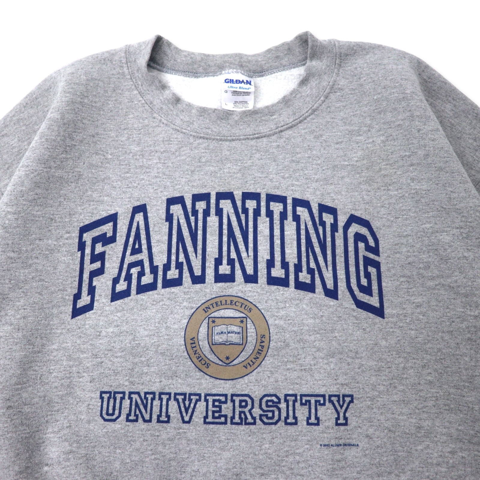 GILDAN anni 2000 felpa con stampa universitaria L grigio cotone felpato FANNING UNIVERSITY taglia grande Made in Mexico