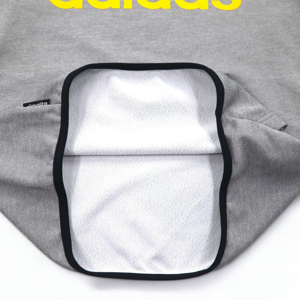 adidas Essentials Big Logo Hoodie S Grigio CLIMALITE AZ2564