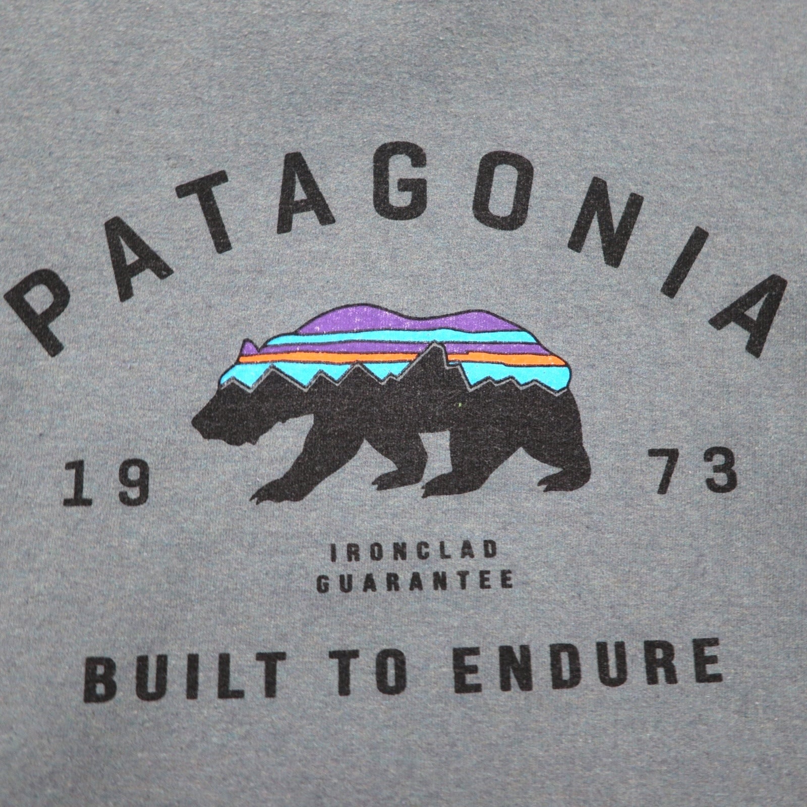 patagonia Felpa Girocollo Stampa Orso 2XL Blu Foderato in pile 39544