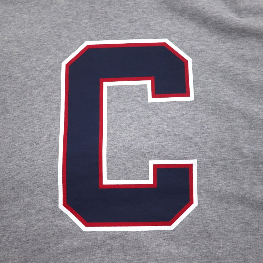 Champion Felpa pullover con cappuccio XL Grigio Cotone Stampa posteriore CORTLAND C8-U112