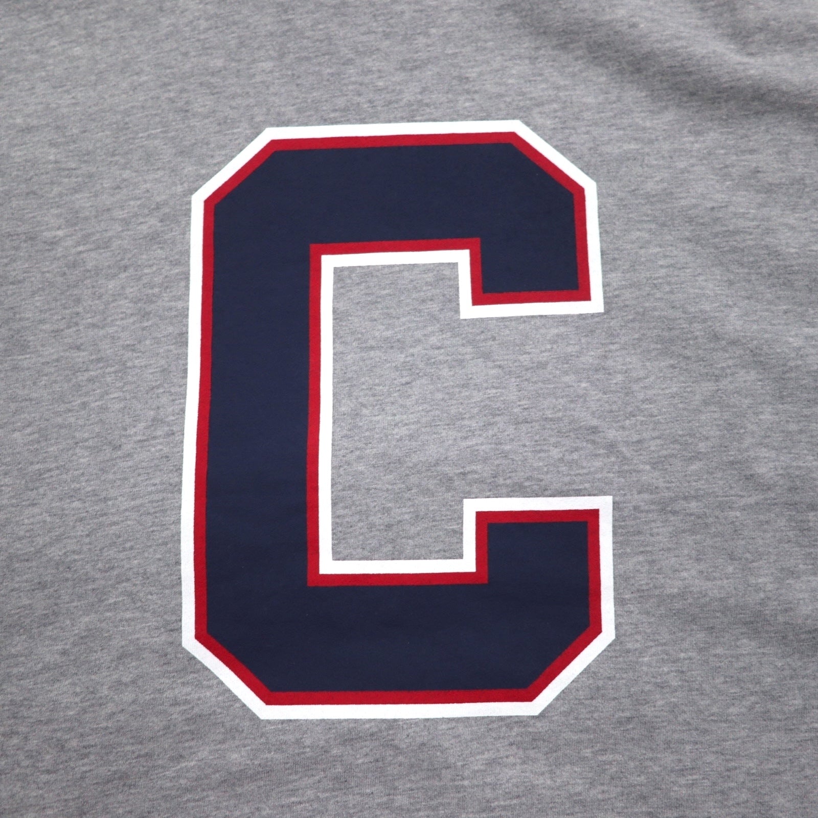 Champion Felpa pullover con cappuccio XL Grigio Cotone Stampa posteriore CORTLAND C8-U112