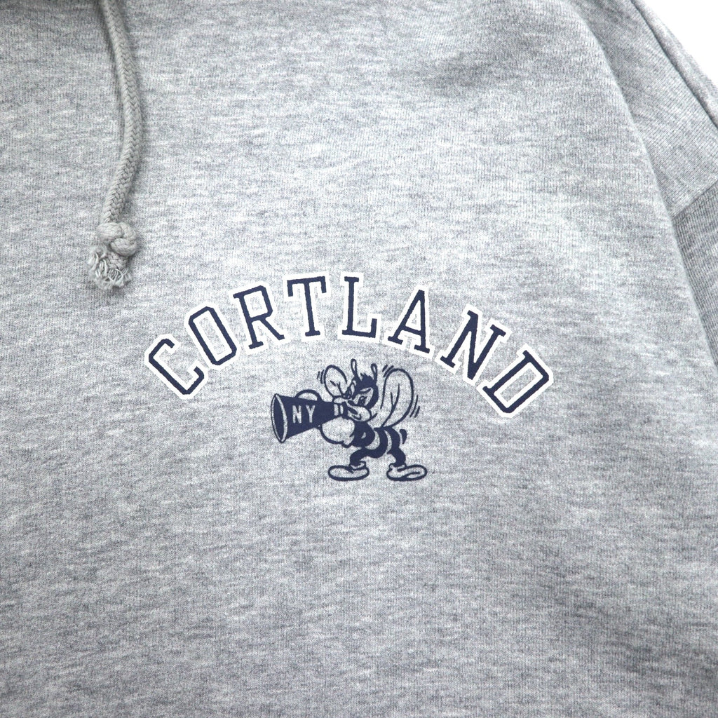 Champion Felpa pullover con cappuccio XL Grigio Cotone Stampa posteriore CORTLAND C8-U112