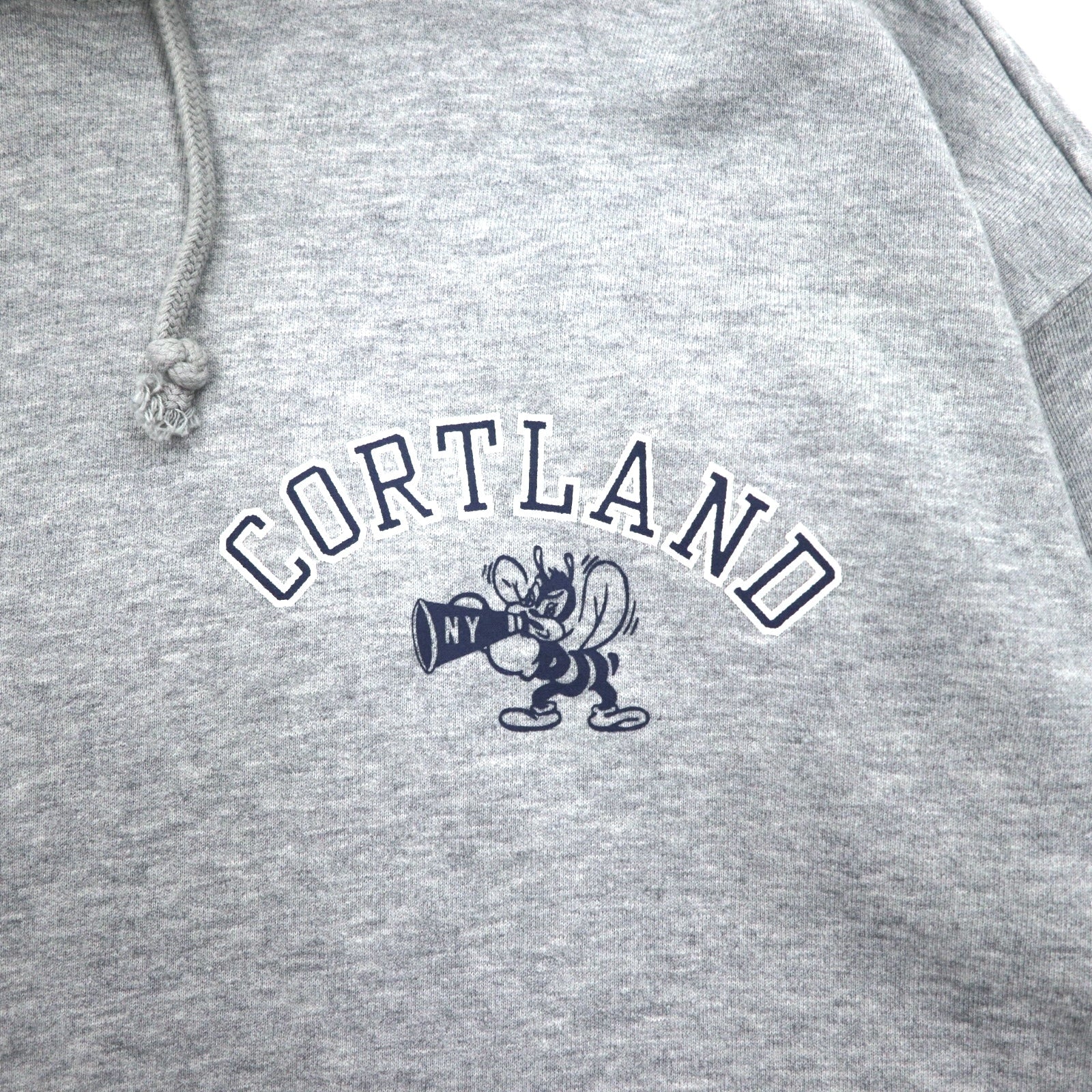 Champion Felpa pullover con cappuccio XL Grigio Cotone Stampa posteriore CORTLAND C8-U112