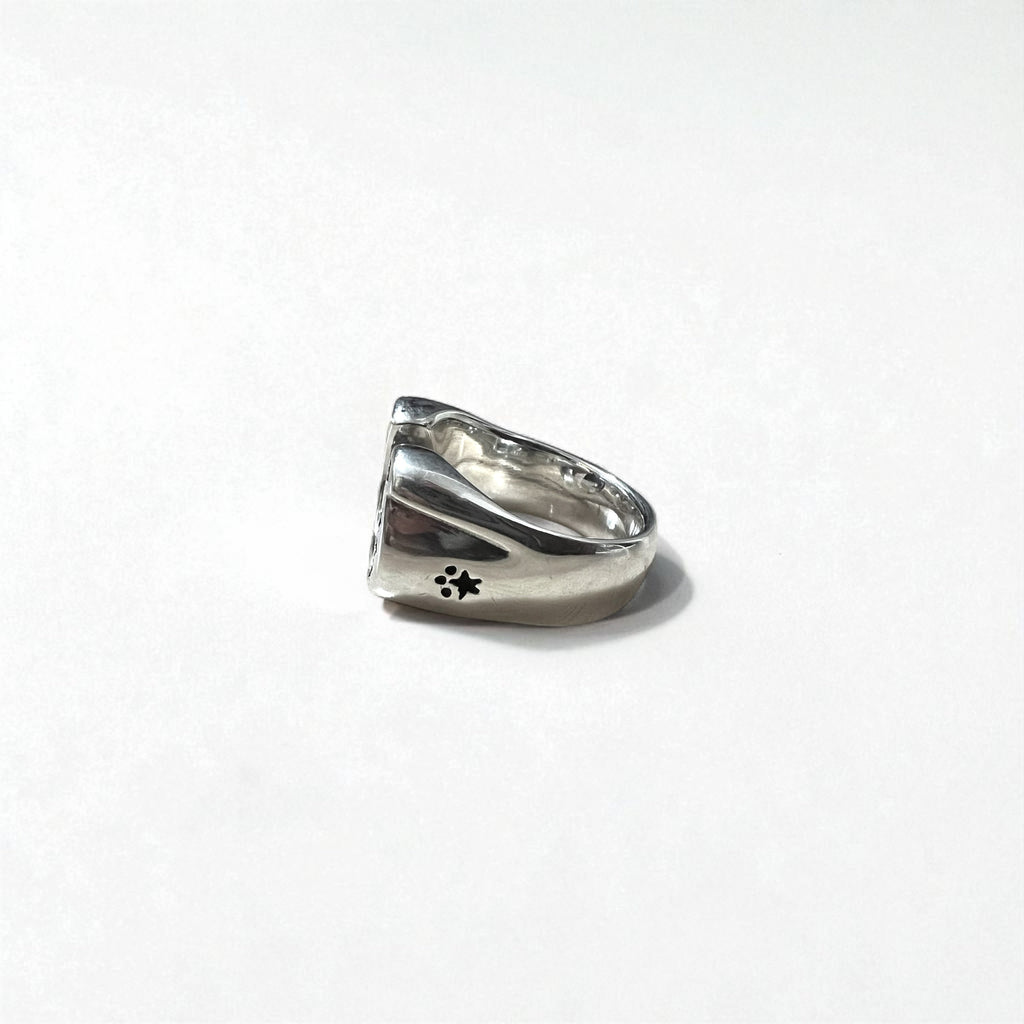 Rogues Anello ferro di cavallo 21号 argento 925 stella