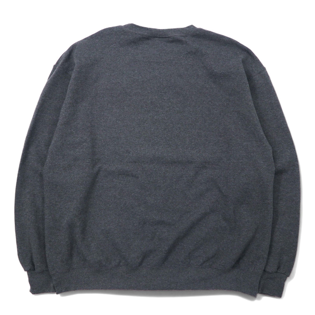 Champion ECO カレッジ プリント スウェット XL グレー コットン 裏起毛 CARLOW UNIVERSITY アーチロゴ 3段 ホンジュラス製