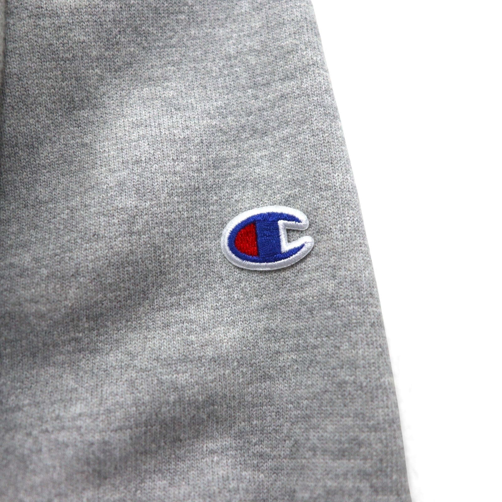 Champion リバースウィーブ REVERSE WEAVE スウェット XL プリント 青単タグ 復刻 THOMAS DANCE STUDIO