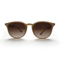 Ray-Ban ボストン ウェリントン サングラス ラウンド グラデーション RB4259-F 6166/13 53-20 150 3N イタリア製