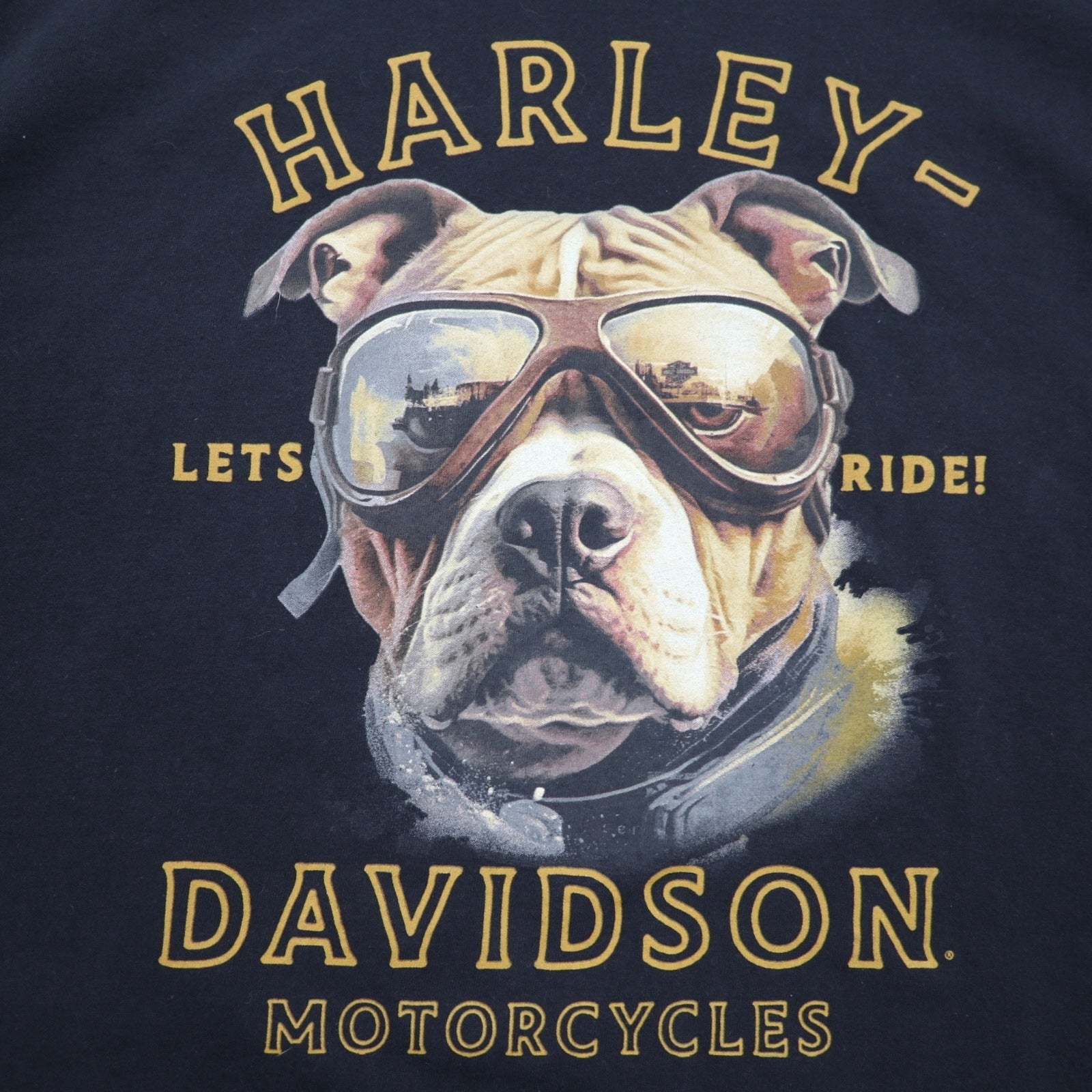 Maglietta HARLEY DAVIDSON con stampa fronte-retro, taglia XL, nera, in cotone, con cane, EL PASO, Made in Honduras