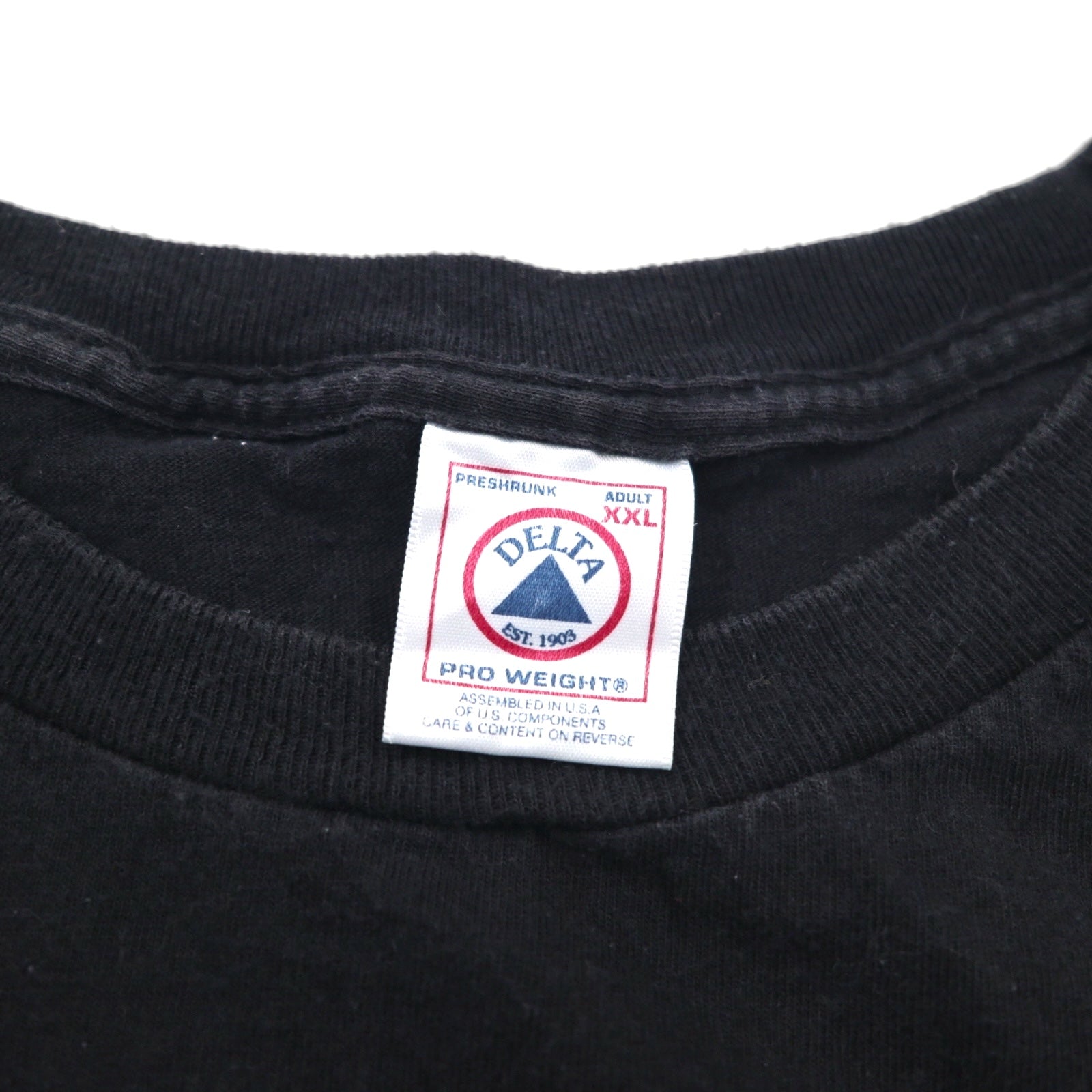 HARLEY DAVIDSON USA製 DELTA ボディ ファイヤーパターン Tシャツ 2XL ブラック ロゴプリント PRO WEIGHT