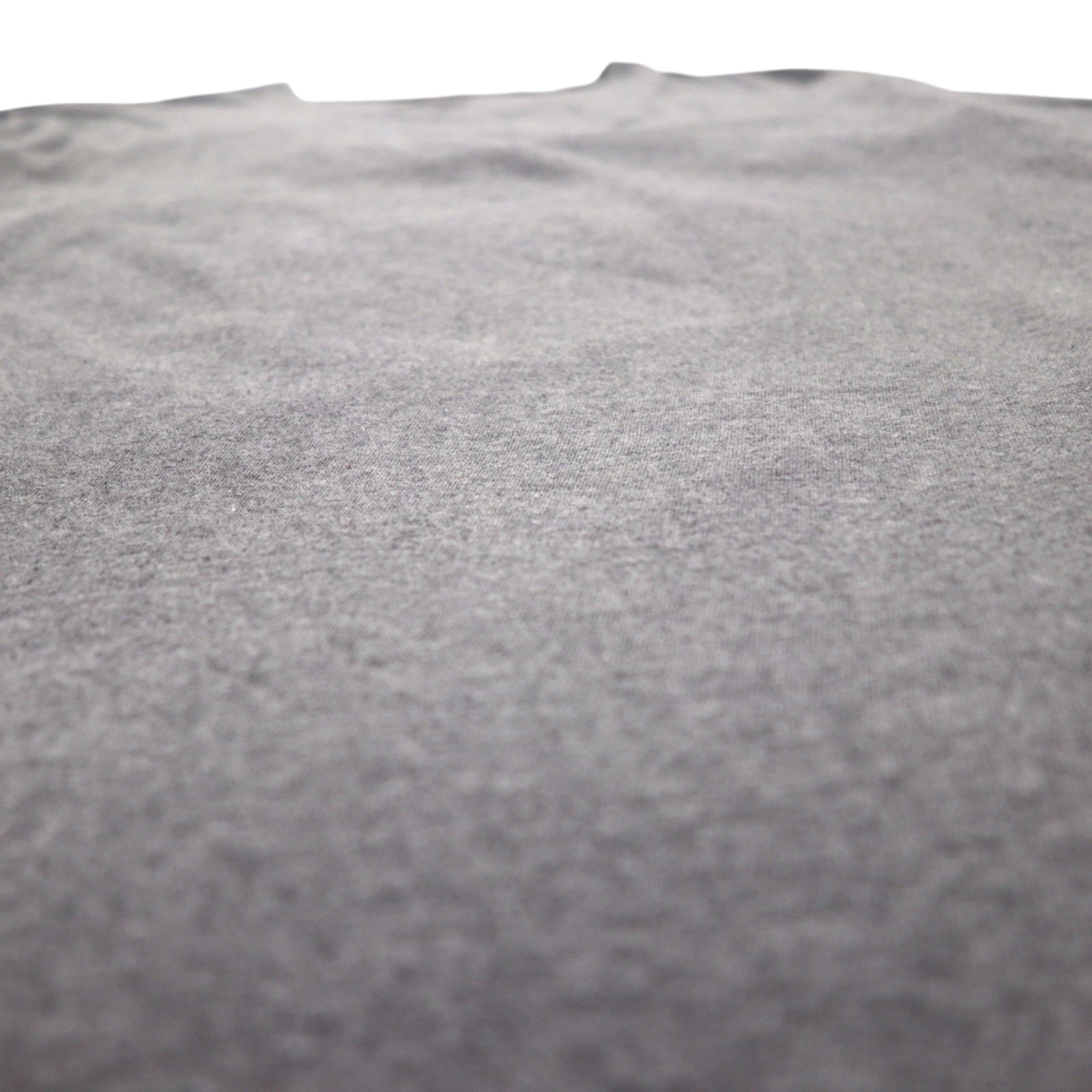 patagonia P-6 ロゴ コットン Tシャツ P-6 Logo Cotton T-Shirt 2XL グレー バックプリント 38906