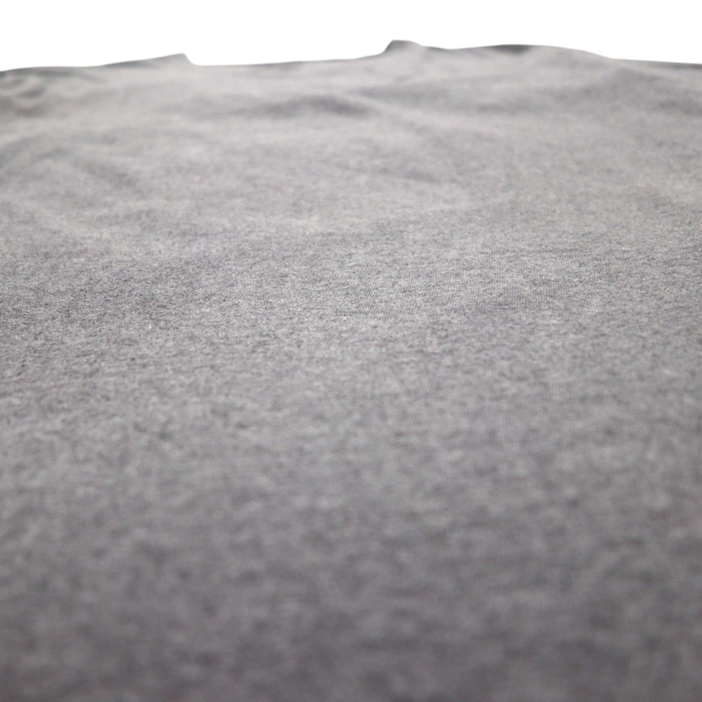 patagonia P-6 ロゴ コットン Tシャツ P-6 Logo Cotton T-Shirt 2XL グレー バックプリント 38906
