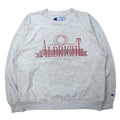 Champion Made in USA Anni '90 College Print Felpa L Grigia Cotone ALBRIGHT COLLEGE