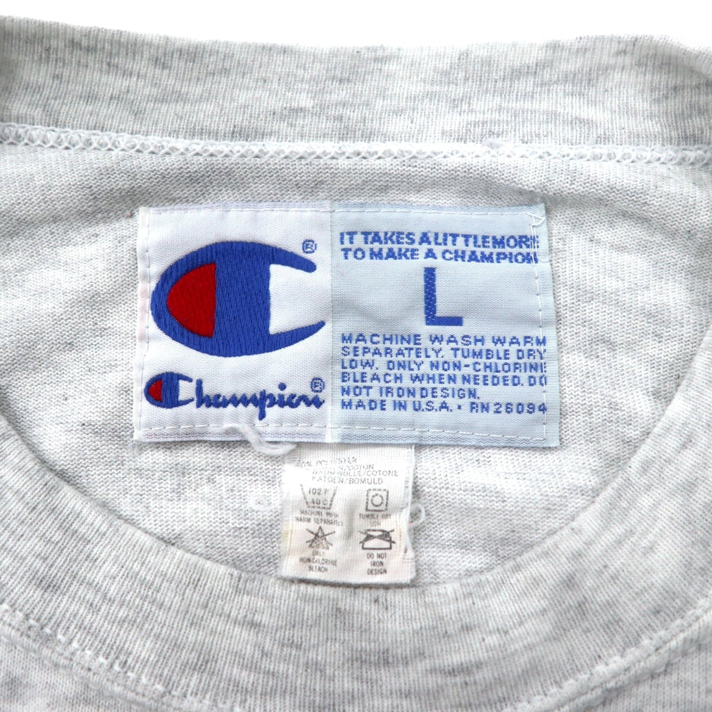 Champion Made in USA Anni '90 College Print Felpa L Grigia Cotone ALBRIGHT COLLEGE