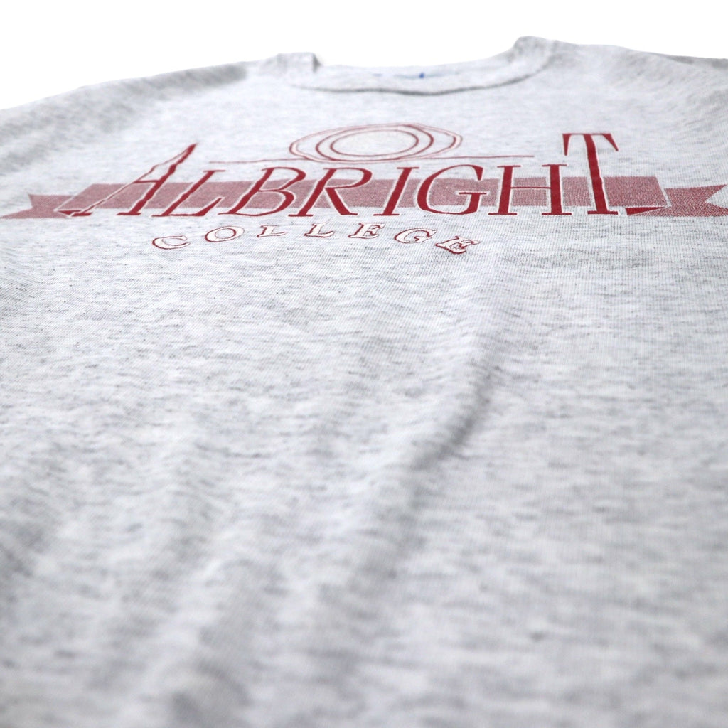 Champion Made in USA Anni '90 College Print Felpa L Grigia Cotone ALBRIGHT COLLEGE