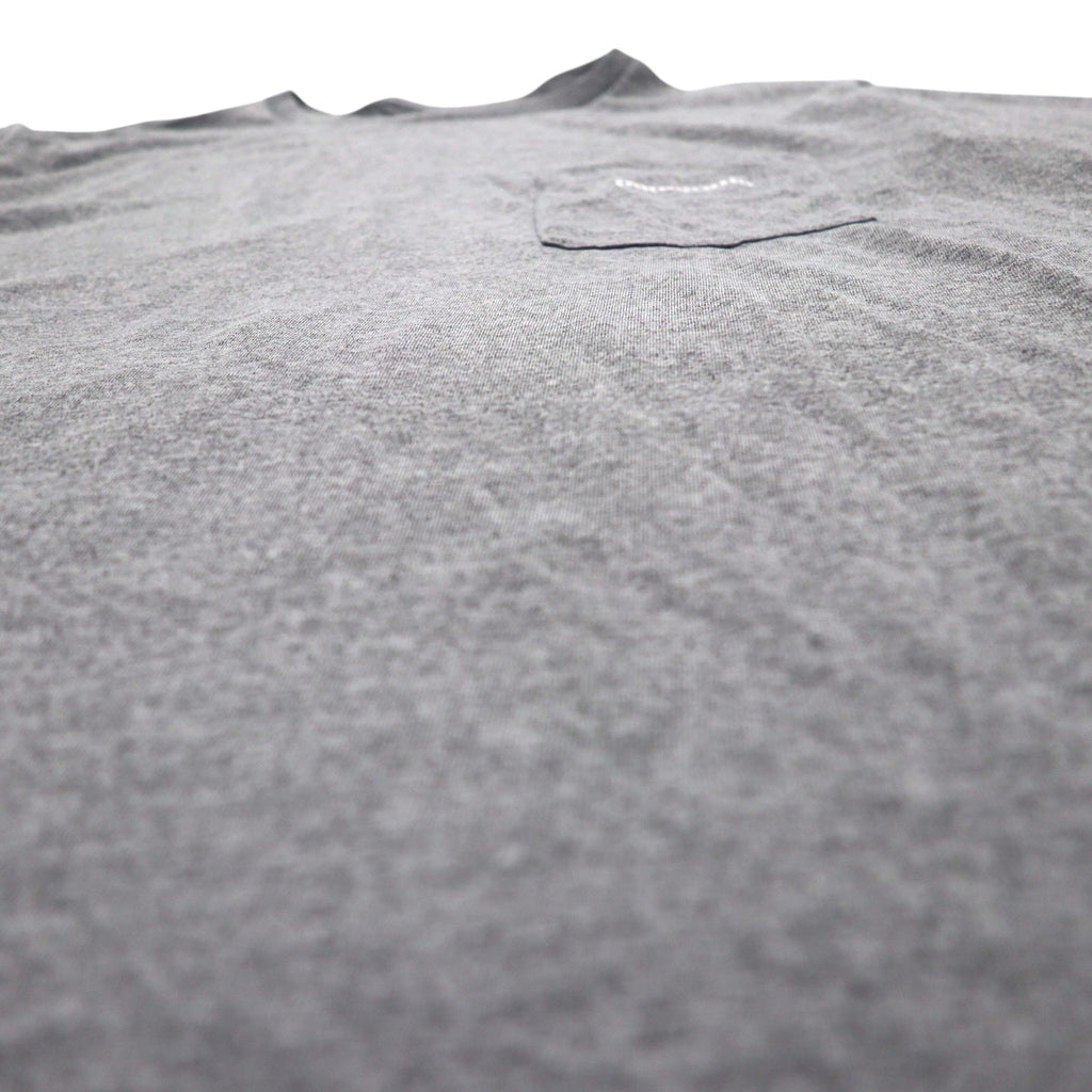 patagonia RESPONSIBLE TEE T-shirt a taschino L Grigio Poliestere 39114