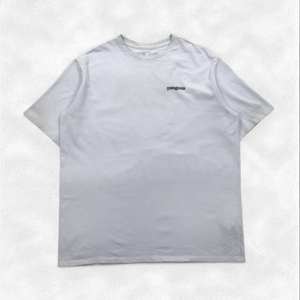 Patagonia ロイ ホライゾンズ Tシャツ ROY HORIZONS L ブルー バックロゴプリント 38501 メキシコ製