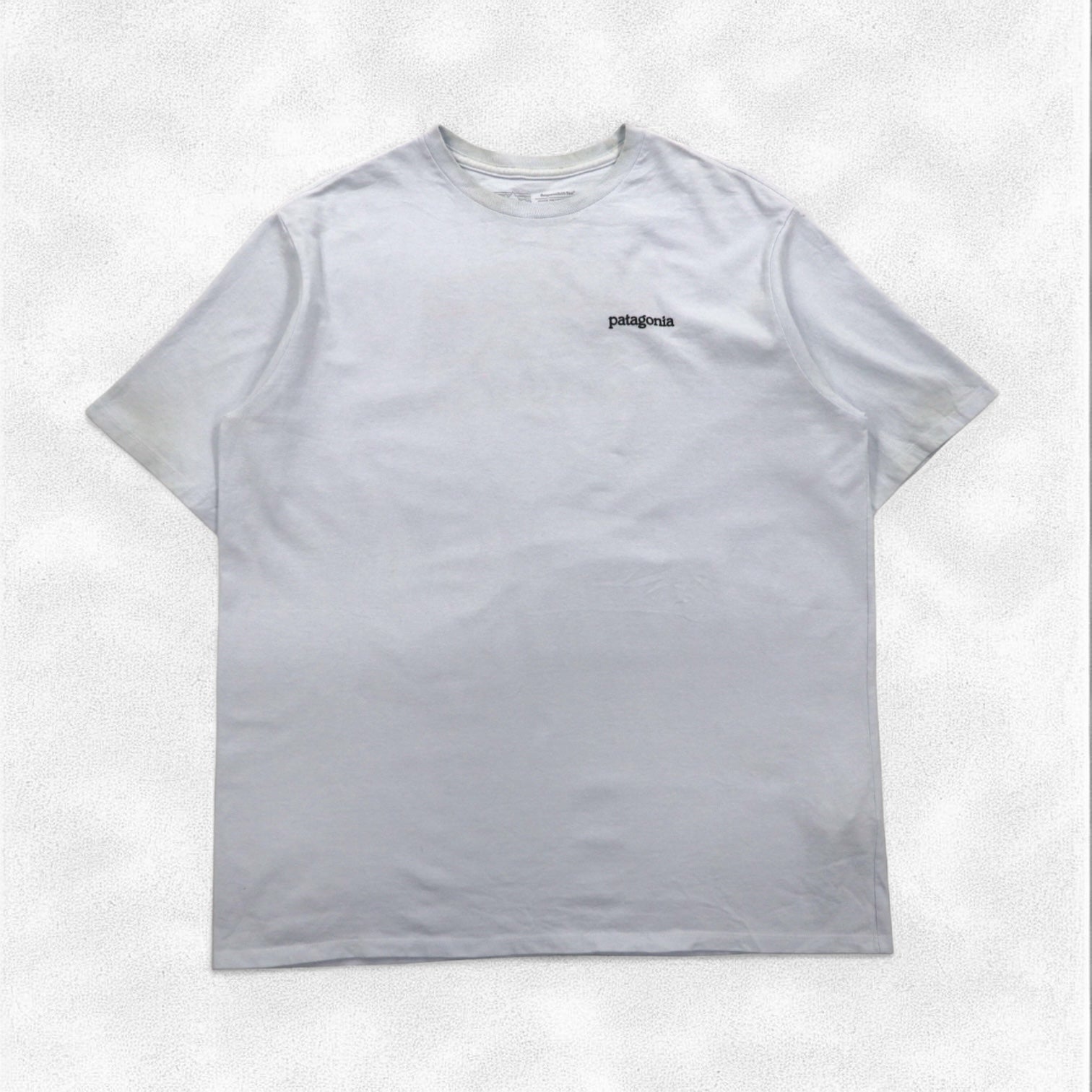 Patagonia ロイ ホライゾンズ Tシャツ ROY HORIZONS L ブルー バックロゴプリント 38501 メキシコ製