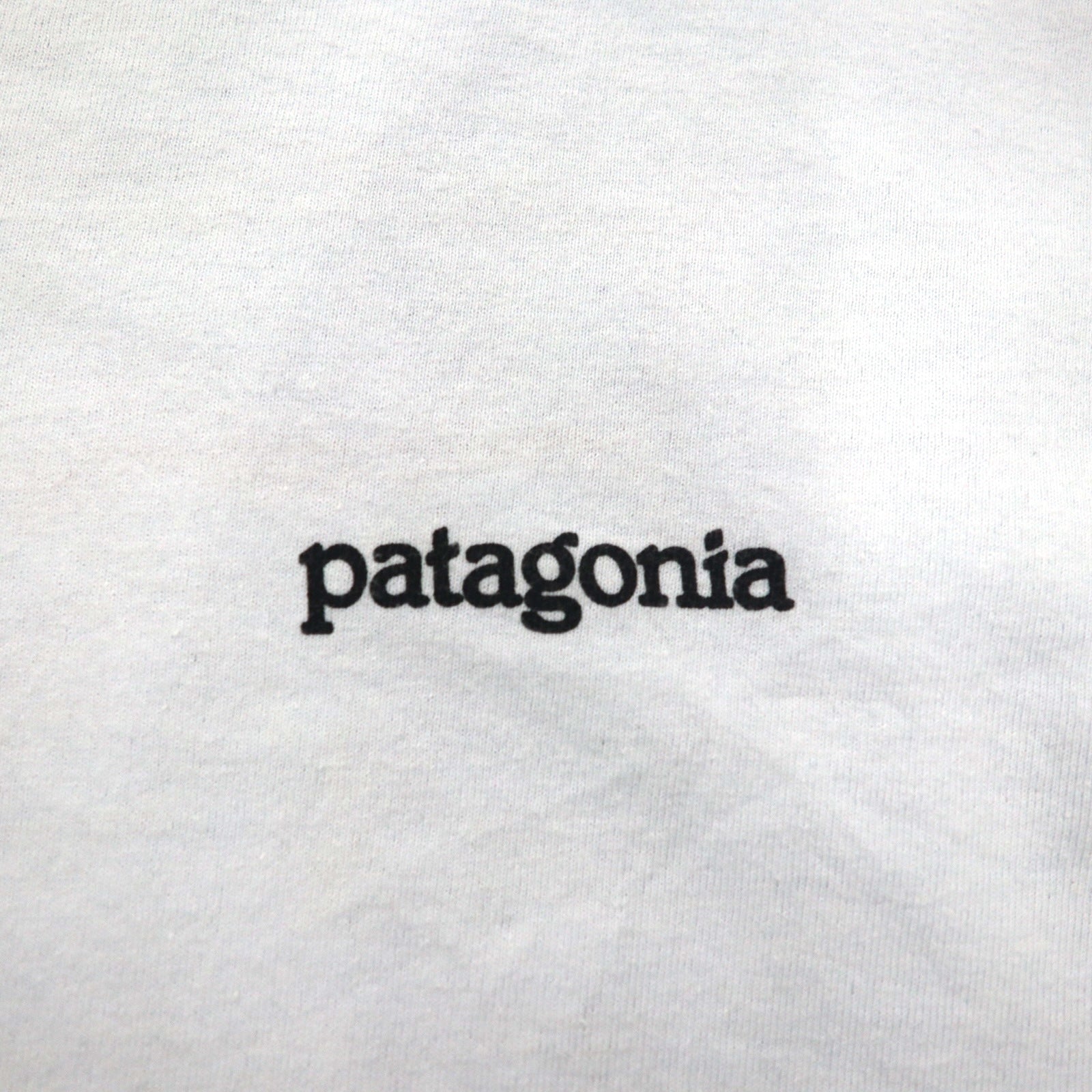 Patagonia ロイ ホライゾンズ Tシャツ ROY HORIZONS L ブルー バックロゴプリント 38501 メキシコ製