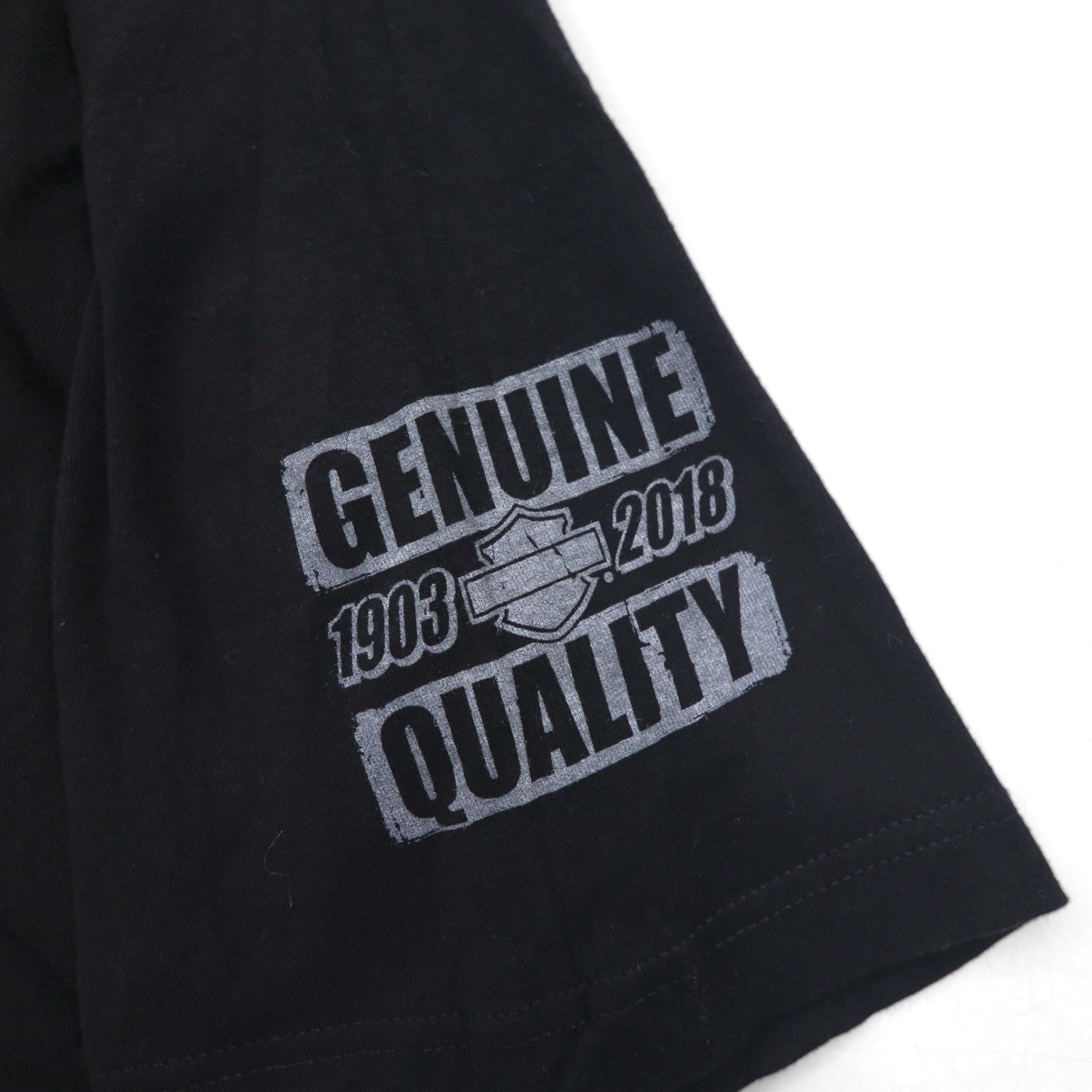 Maglietta HARLEY DAVIDSON con scollo a V e stampa su entrambi i lati, taglia 2XL, nera, moto, WISCONSIN