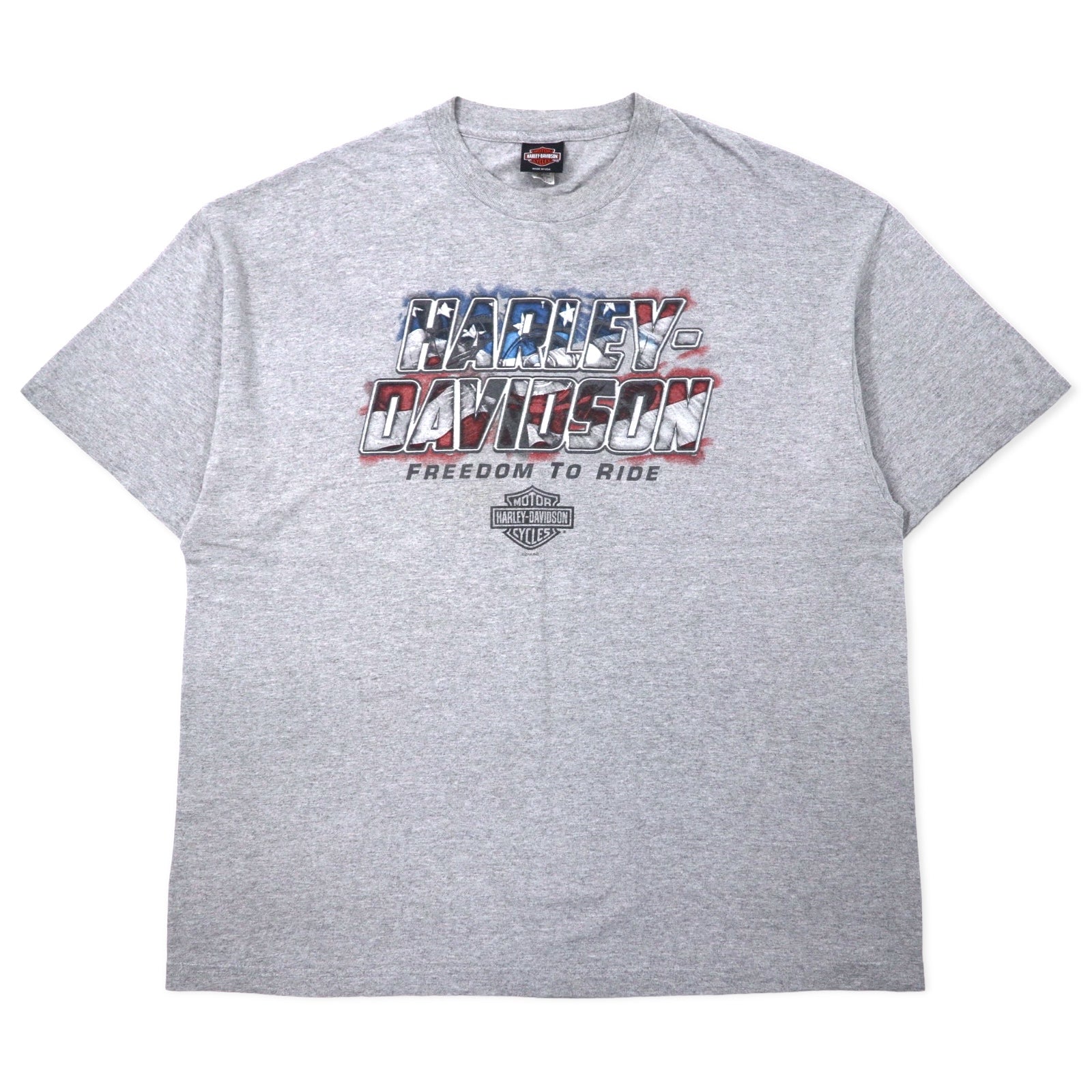 Maglietta HARLEY DAVIDSON USA con stampa logo 2XL grigia cotone LEESBURG-FLORIDA