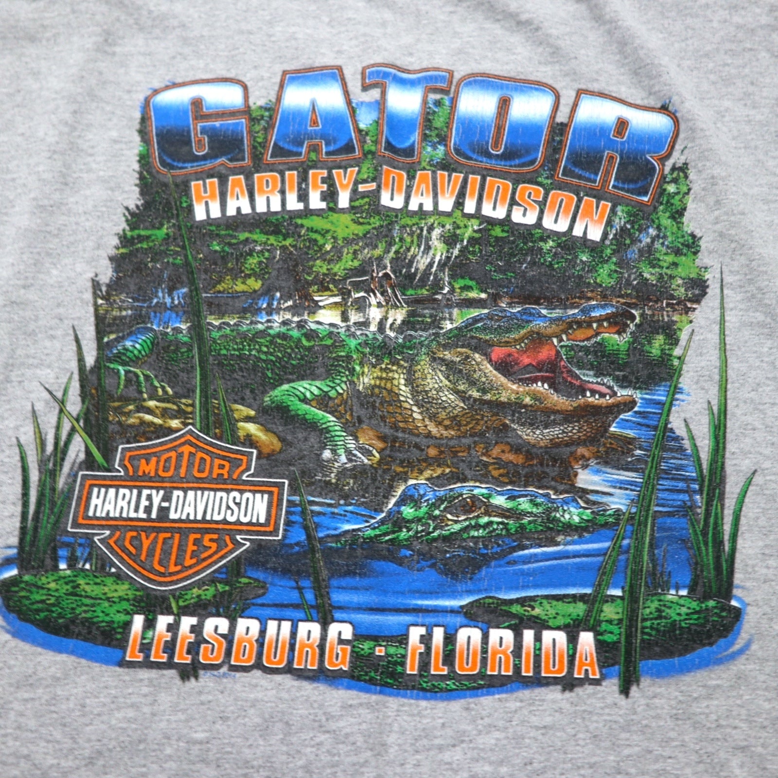 Maglietta HARLEY DAVIDSON USA con stampa logo 2XL grigia cotone LEESBURG-FLORIDA