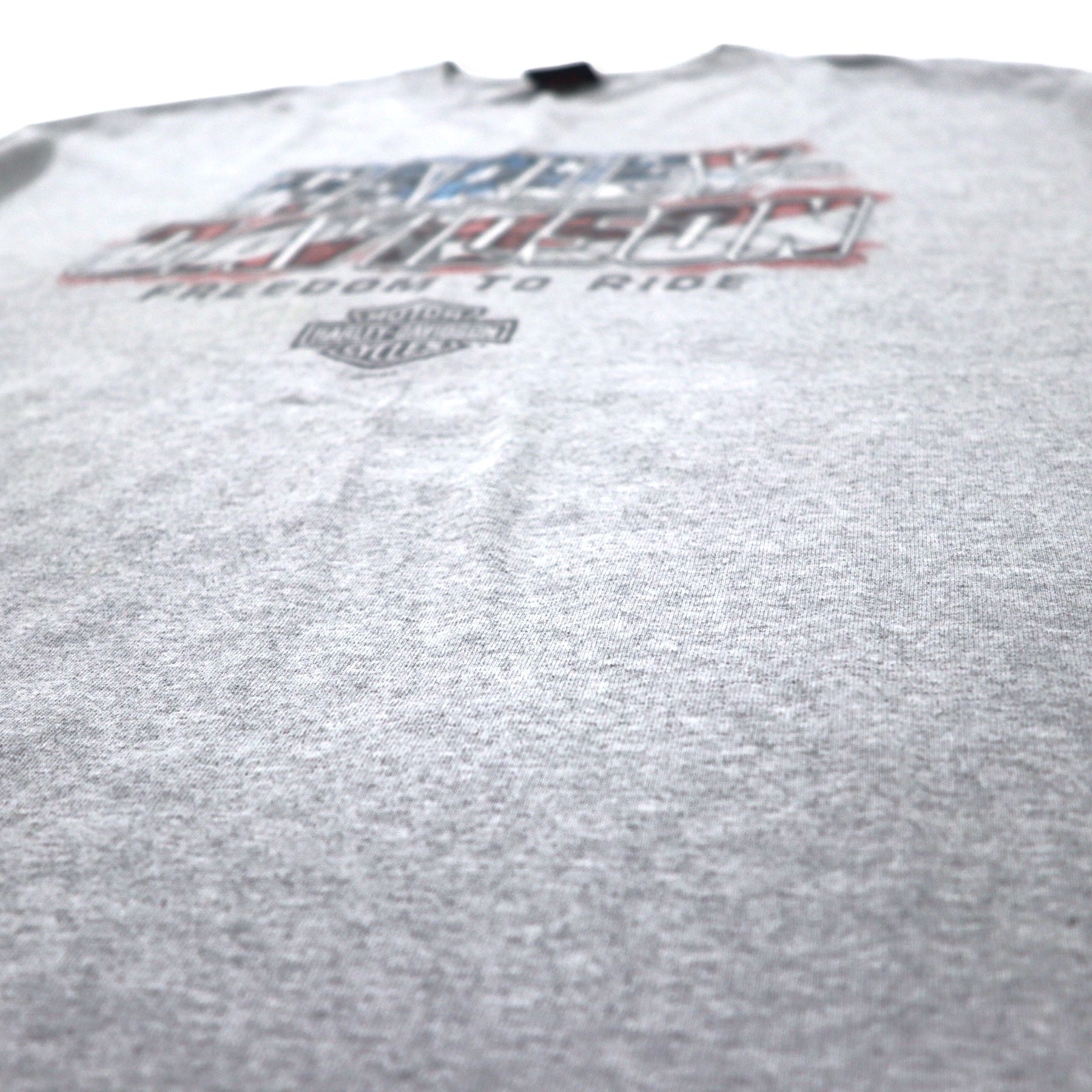 Maglietta HARLEY DAVIDSON USA con stampa logo 2XL grigia cotone LEESBURG-FLORIDA