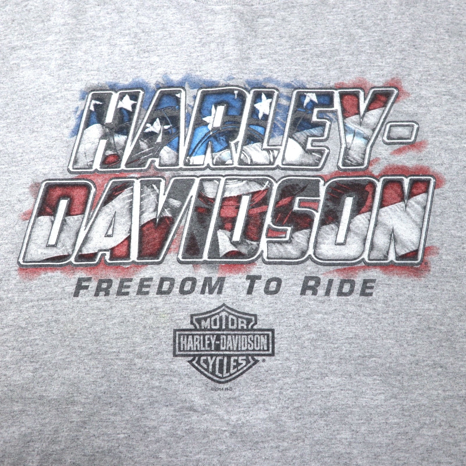 Maglietta HARLEY DAVIDSON USA con stampa logo 2XL grigia cotone LEESBURG-FLORIDA