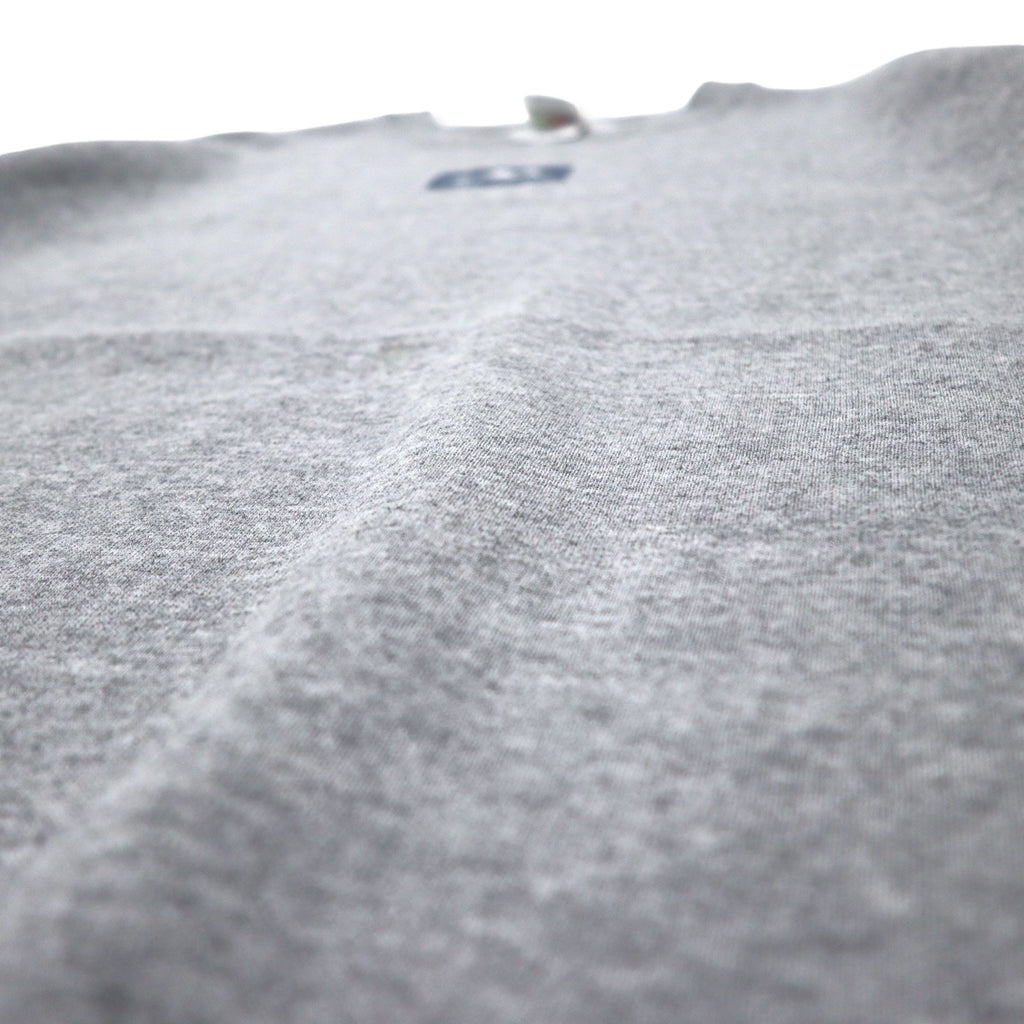 FRUIT OF THE LOOM Felpa stampata XL grigia cotone COLORADO Made in Mexico