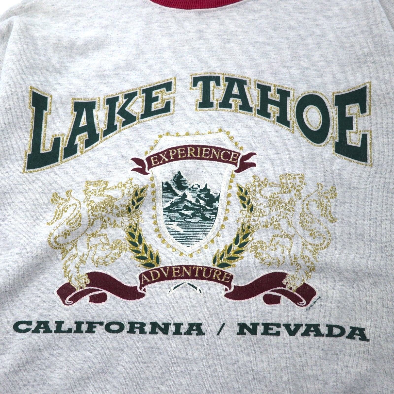 Hanes USA 90s ACTIVE WEAR Felpa a coste M Grigio Cotone LAKE TAHOE