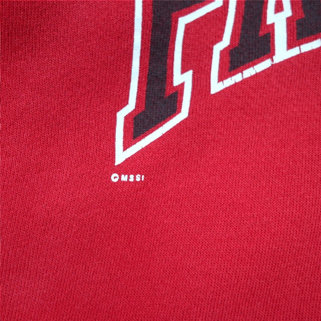 Lee Anni '90 USA Made Felpa stampata FAIRVIEW L Rossa Cotone Felpata Logo ad arco