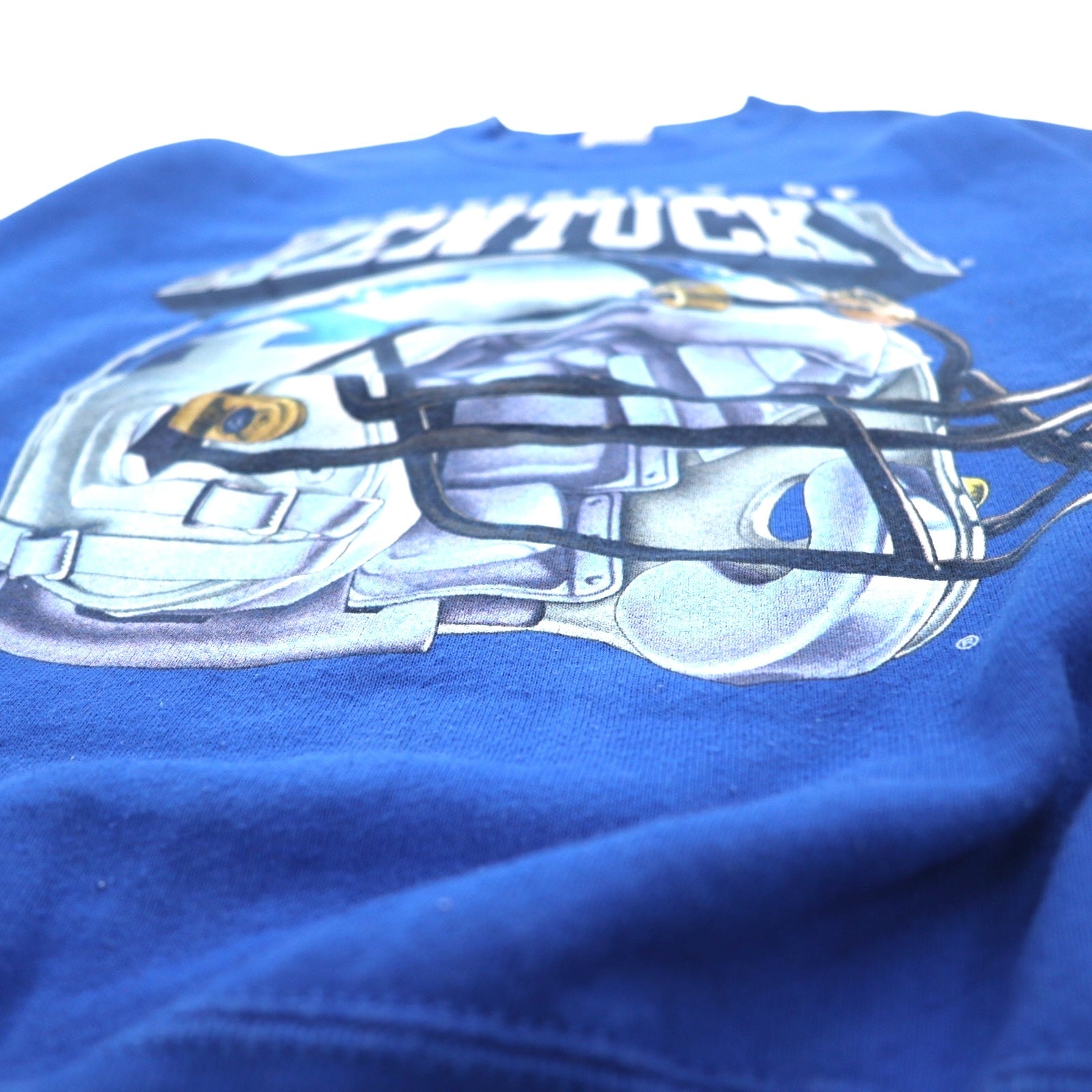 Felpa stampata SALEM SPORTSWEAR degli anni '90, Made in USA, taglia M, blu, KENTUCKY, felpata.