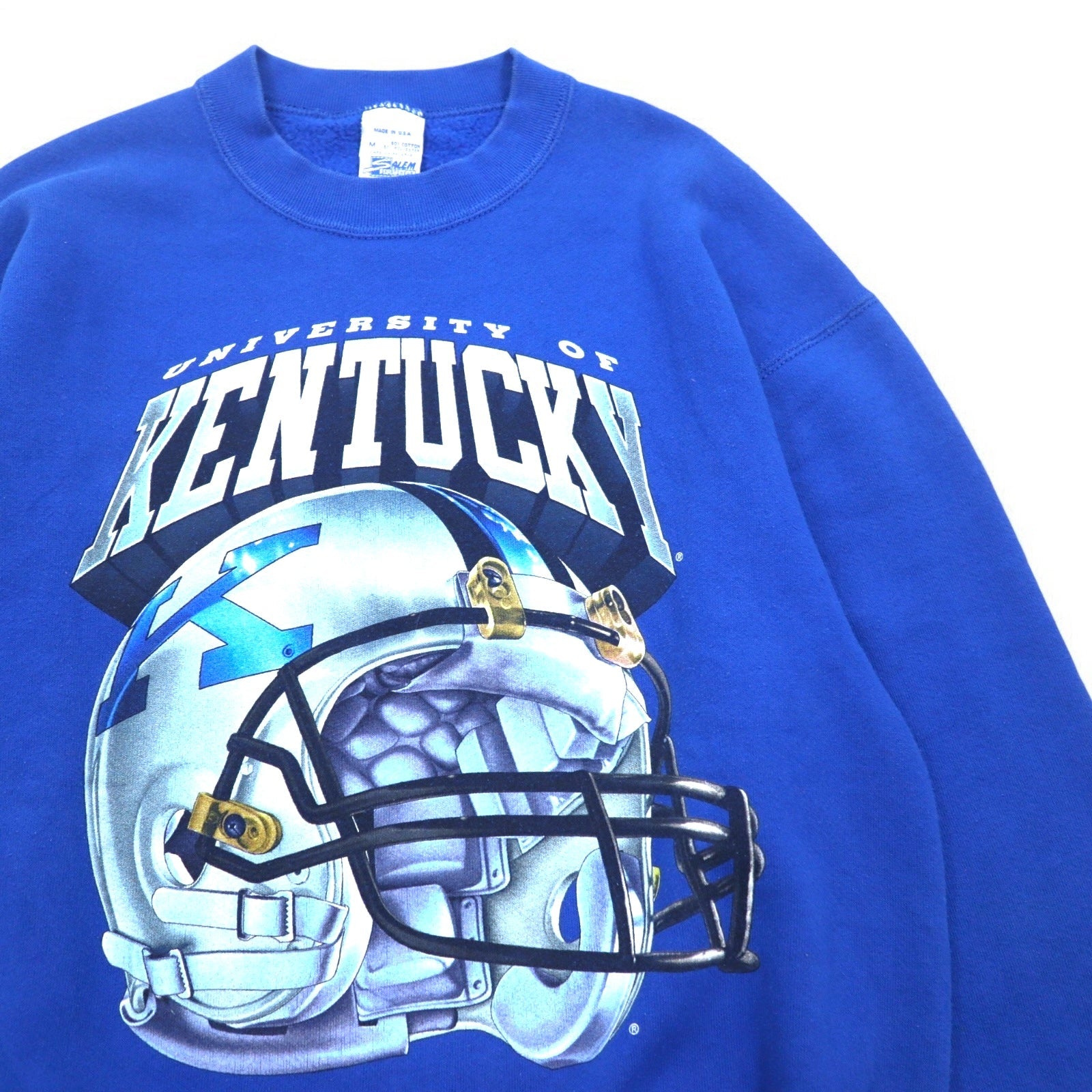 Felpa stampata SALEM SPORTSWEAR degli anni '90, Made in USA, taglia M, blu, KENTUCKY, felpata.