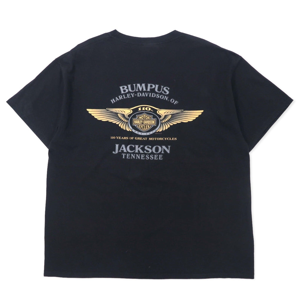 T-Shirt HARLEY DAVIDSON con logo stampato, tasca, taglia XL, colore nero, cotone, HANES BEEFY-T 110th ANNIVERSARY, taglia grande