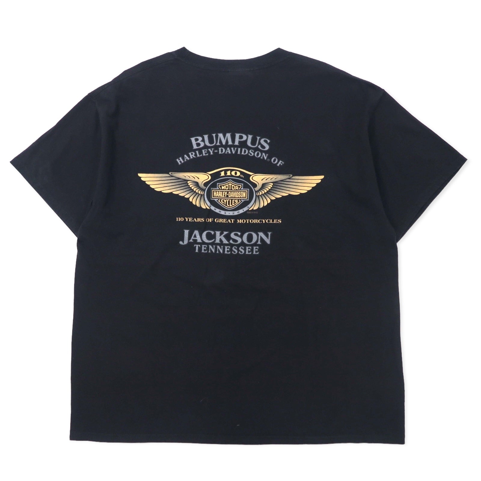 T-Shirt HARLEY DAVIDSON con logo stampato, tasca, taglia XL, colore nero, cotone, HANES BEEFY-T 110th ANNIVERSARY, taglia grande
