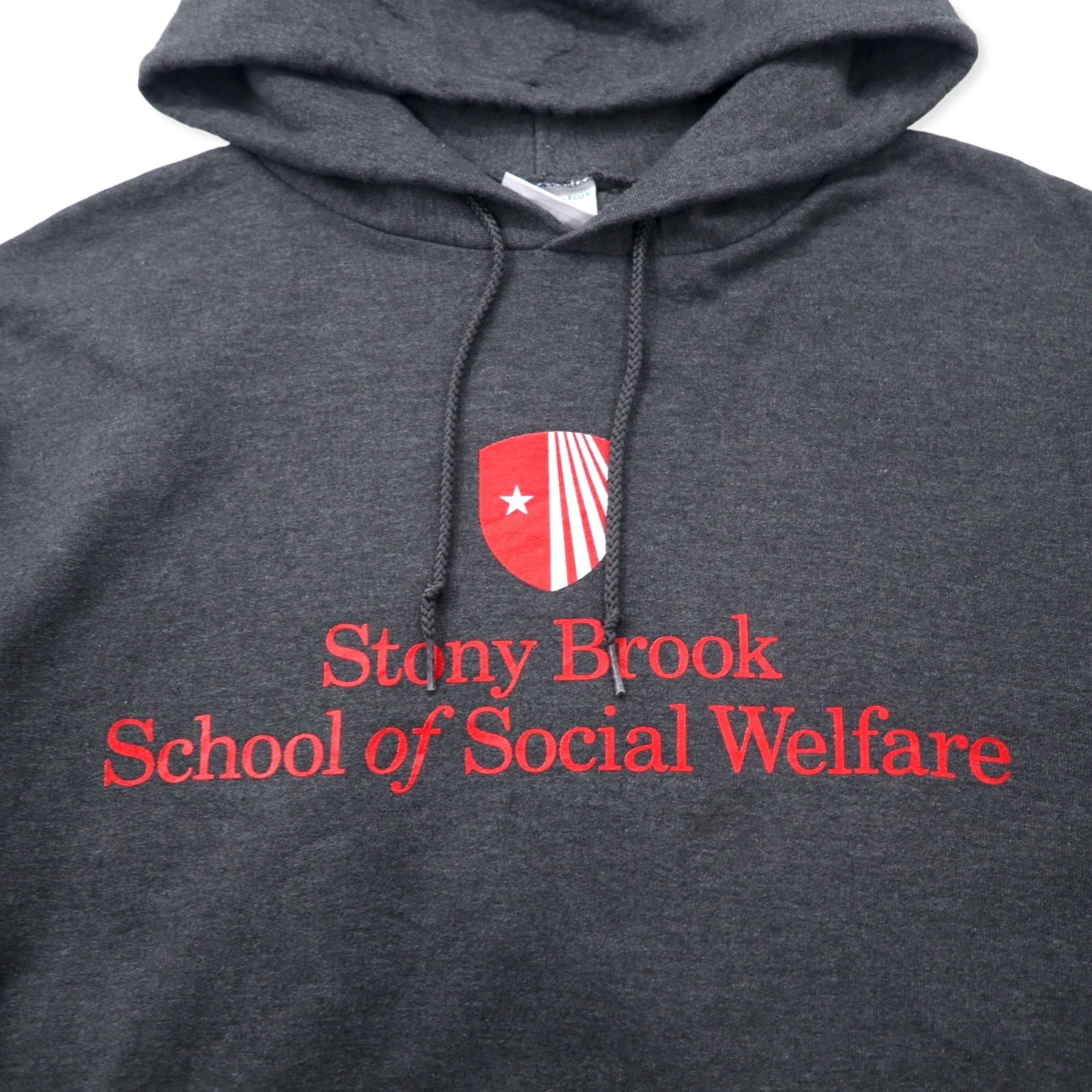 Champion ECO College Felpa con cappuccio Pullover L grigio cotone interno felpato Stony Brook School of Social Welfare taglia grande