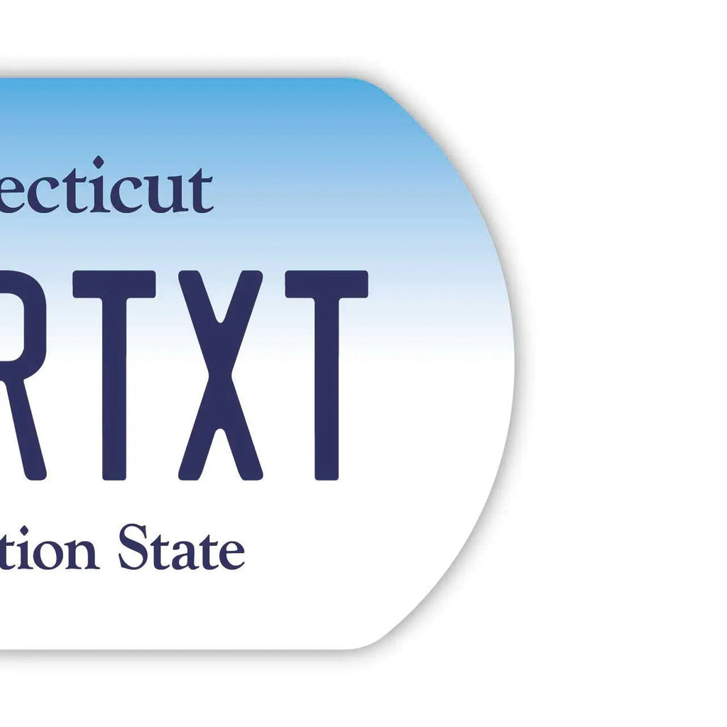 [Medaglietta identificativa per cani/Dog tag] Connecticut/Portachiavi personalizzato a forma di targa americana