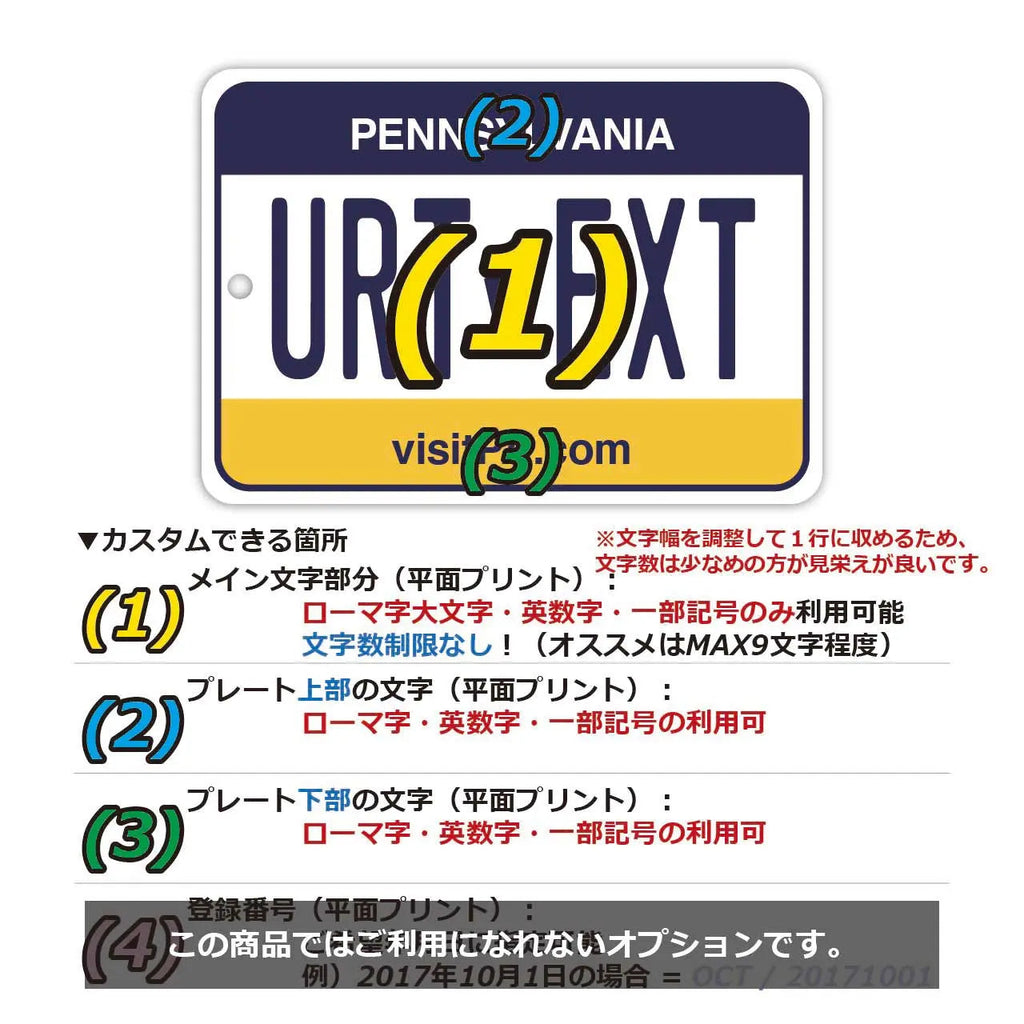 【Mirror Tag】Pennsylvania/Deodorante per auto a forma di targa americana originale