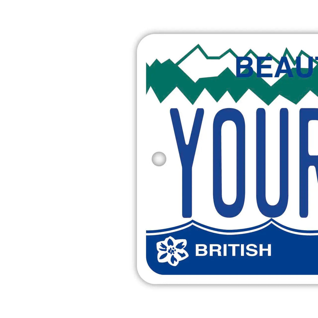 [MIRROR TAG] Deodorante per auto a forma di targa americana originale/personalizzata della Columbia Britannica