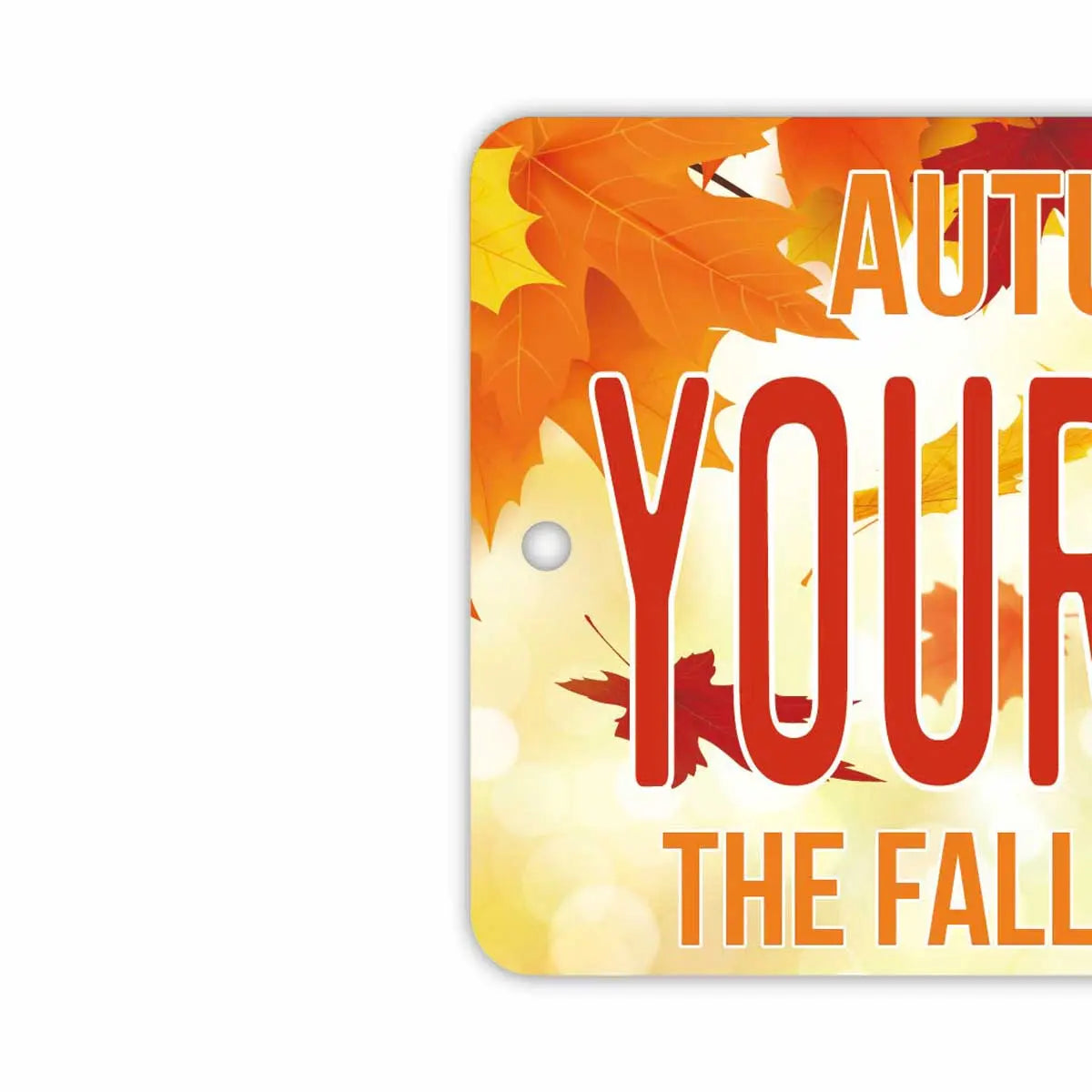 [Etichetta specchio] Acero autunnale/Arancione/Deodorante per auto originale a forma di targa americana