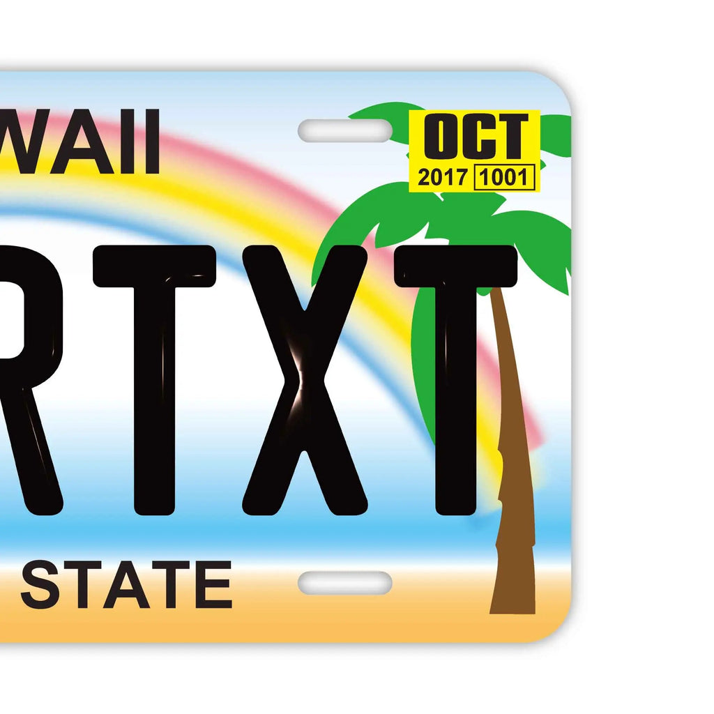 Targa personalizzata a forma di targa automobilistica [Grande - per auto USA] Hawaii - Palma / Targa americana originale in rilievo Targhetta personalizzata di design