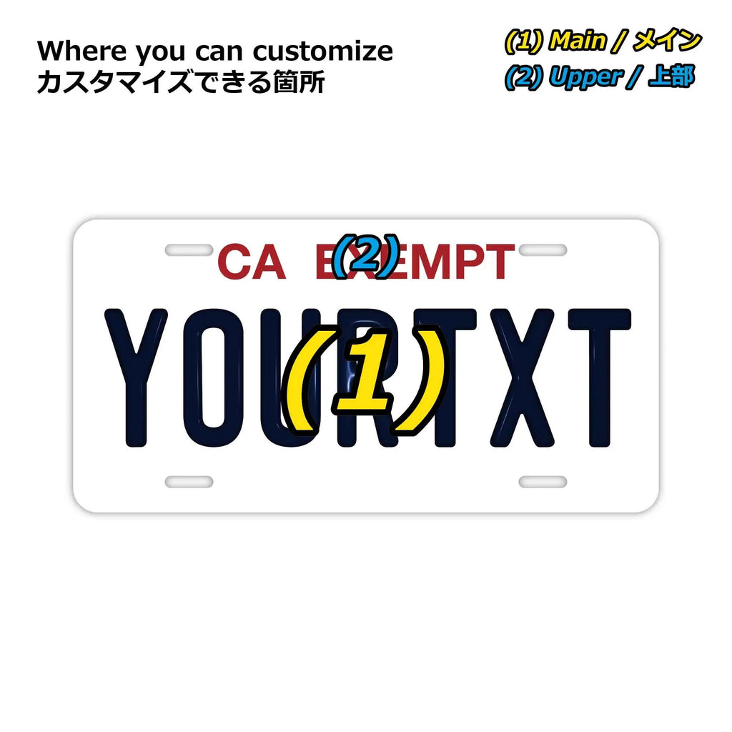 Targa personalizzata a forma di targa automobilistica [Grande - per auto USA] California (veicolo governativo)/Targa originale americana in rilievo, targa decorativa