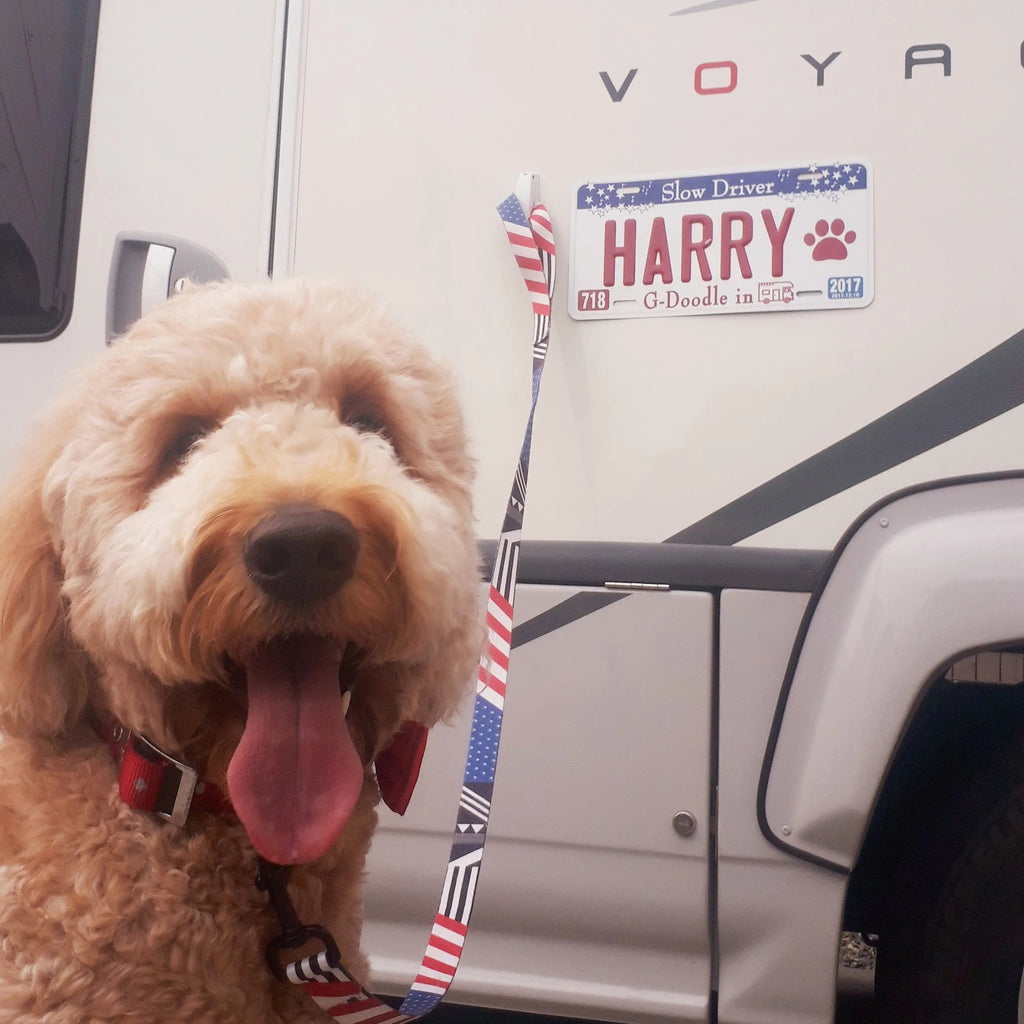 Targa personalizzata [Grande, per auto USA] Alabama/Targa originale americana in rilievo, insegna decorativa