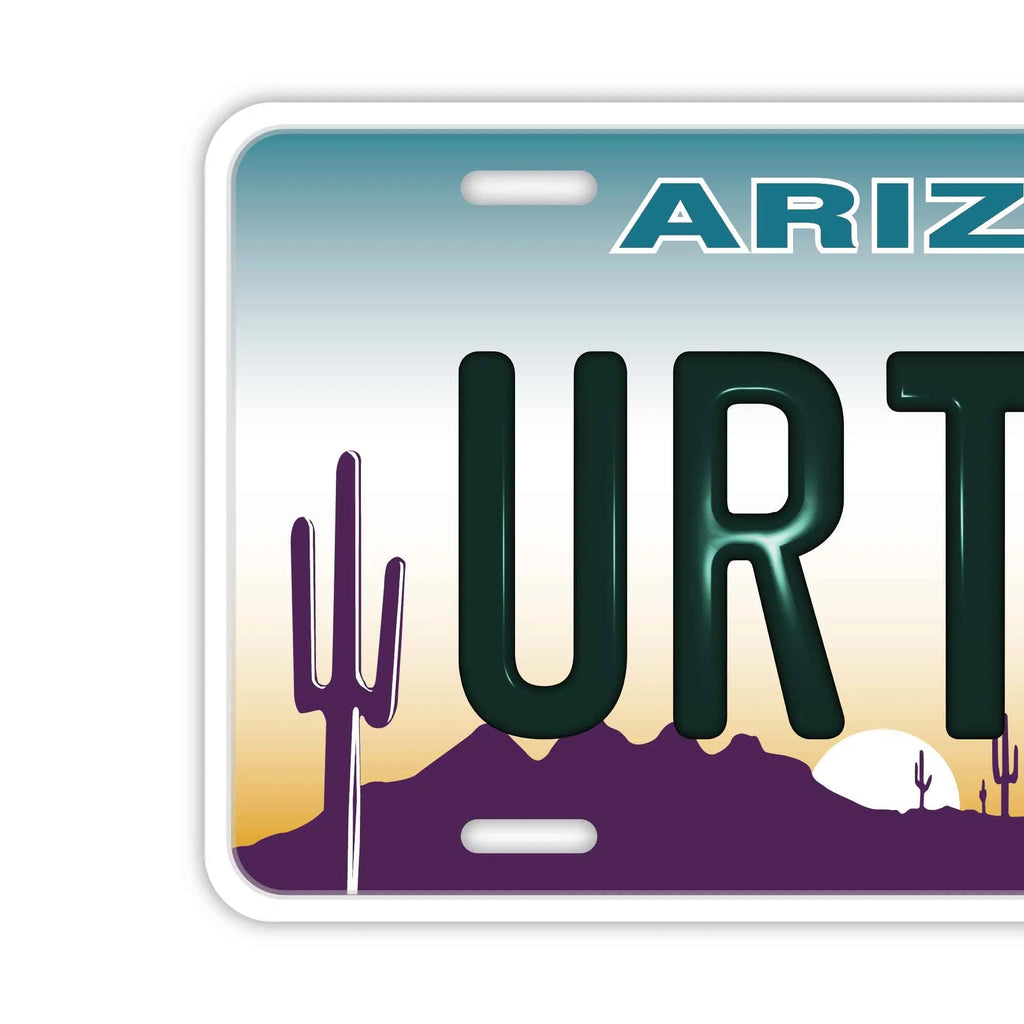 Targa personalizzata (grande, per auto USA) Arizona/Targa originale americana in rilievo, insegna decorativa