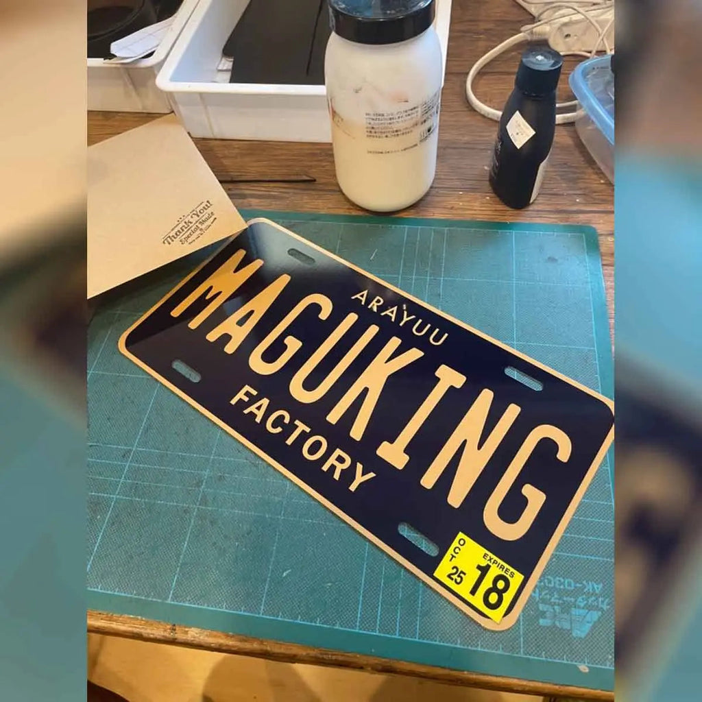 Targa personalizzata - DE/DELAWARE - Grande per veicoli USA - Targhe americane originali in rilievo - Targa decorativa