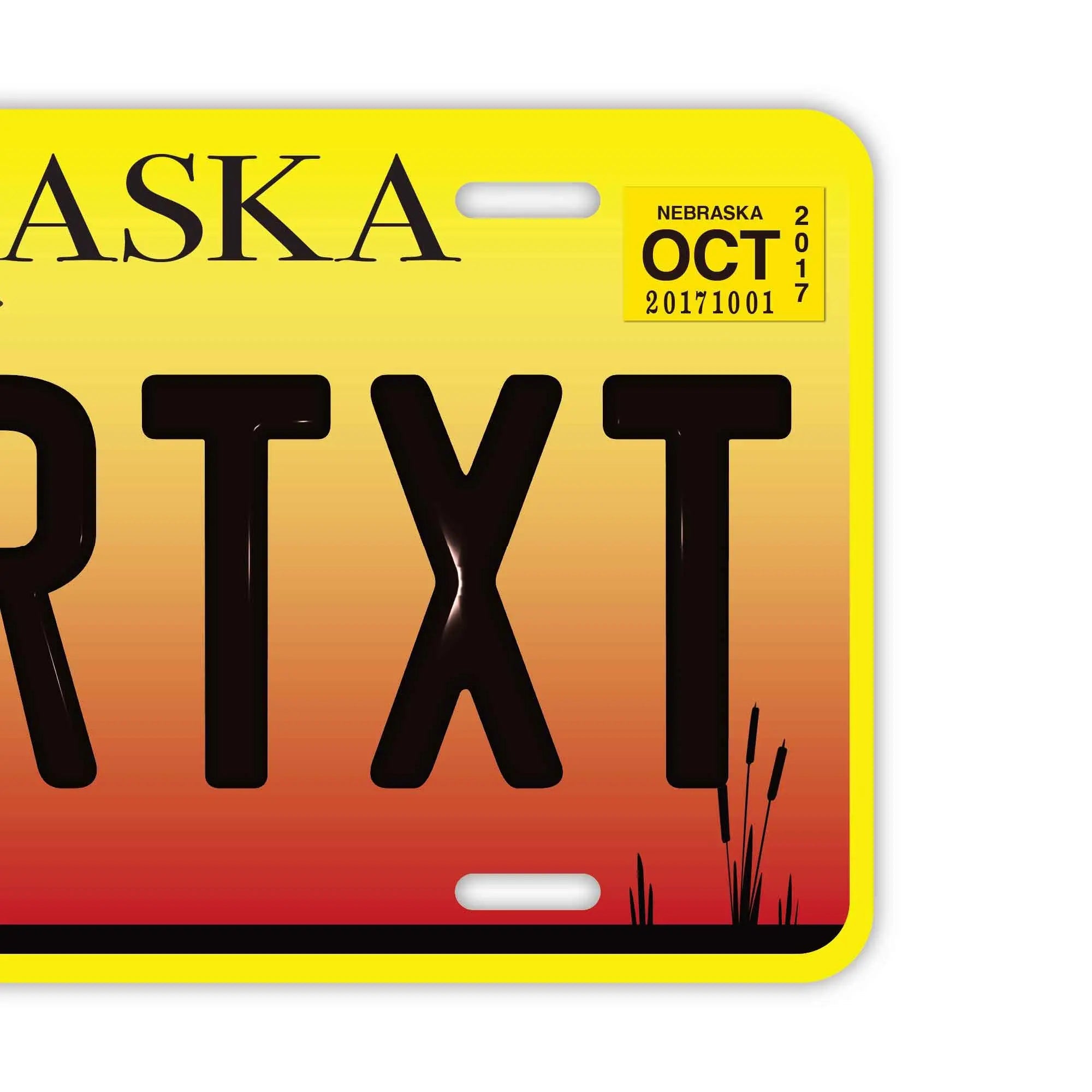 Targhetta decorativa personalizzata a forma di targa automobilistica [Grande - per auto USA] Nebraska/Targa americana originale in rilievo Targhetta personalizzata di design