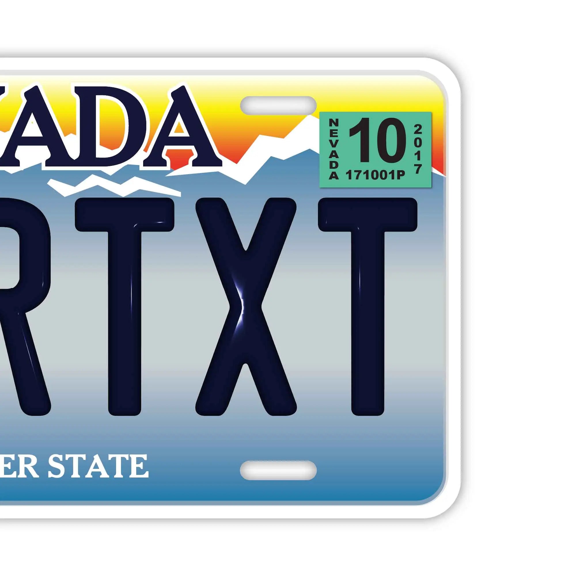Targhetta personalizzata per targa [Grande, per auto USA] Nevada/Targa americana originale in rilievo Targhetta personalizzata