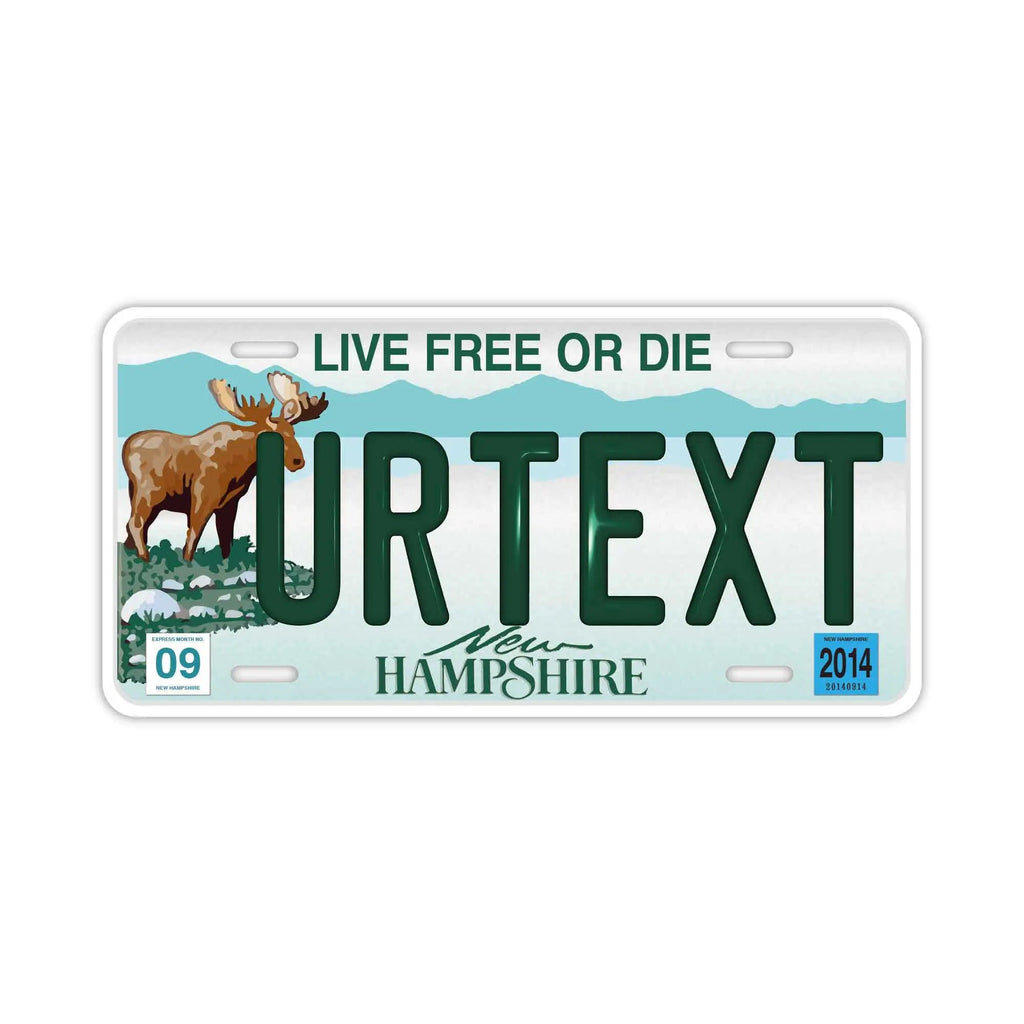 Targa personalizzata a forma di targa automobilistica [Grande, per auto USA] New Hampshire/Targa in rilievo originale americana, insegna decorativa