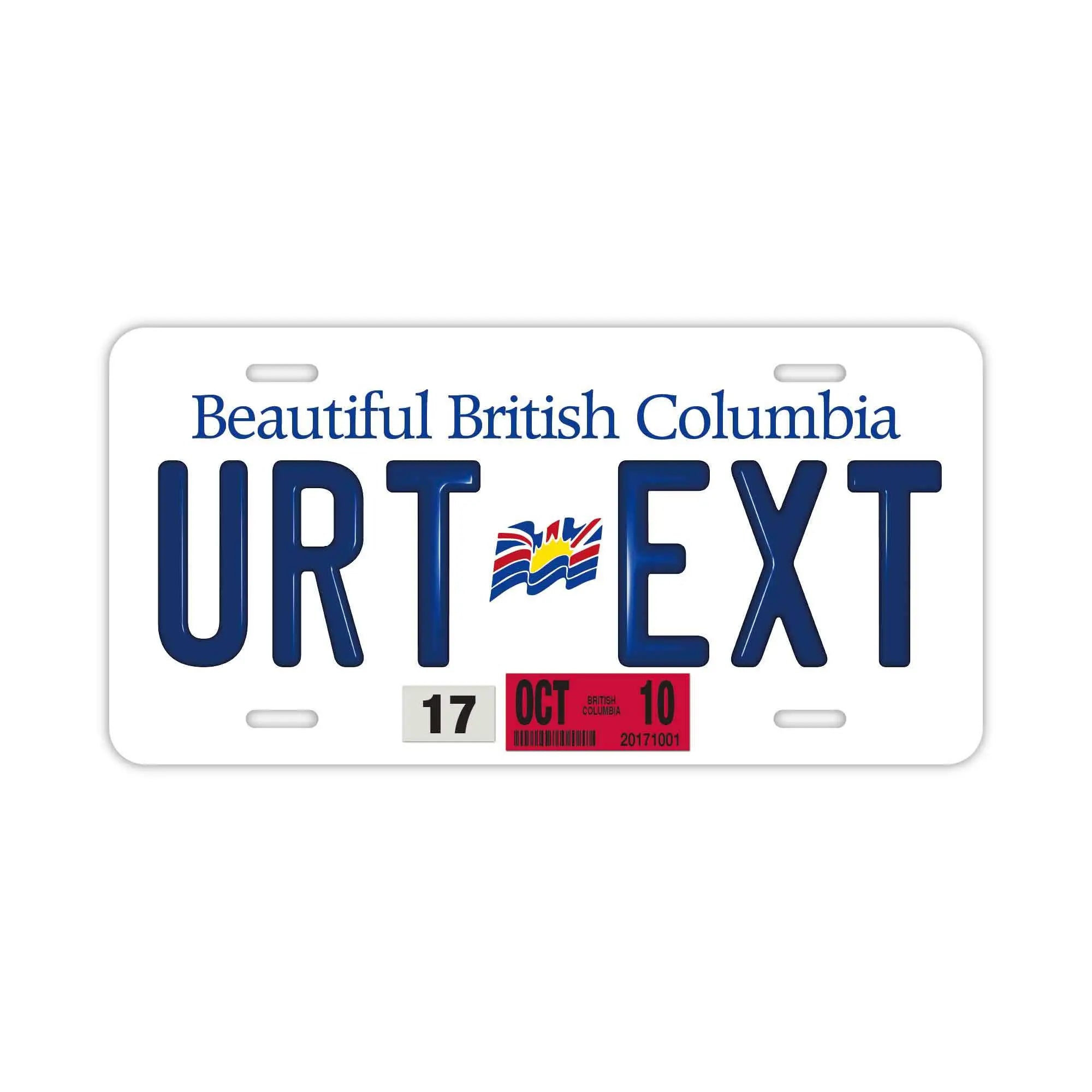 Targa personalizzata (grande, per auto USA) Columbia Britannica/Targa canadese originale in rilievo, insegna decorativa